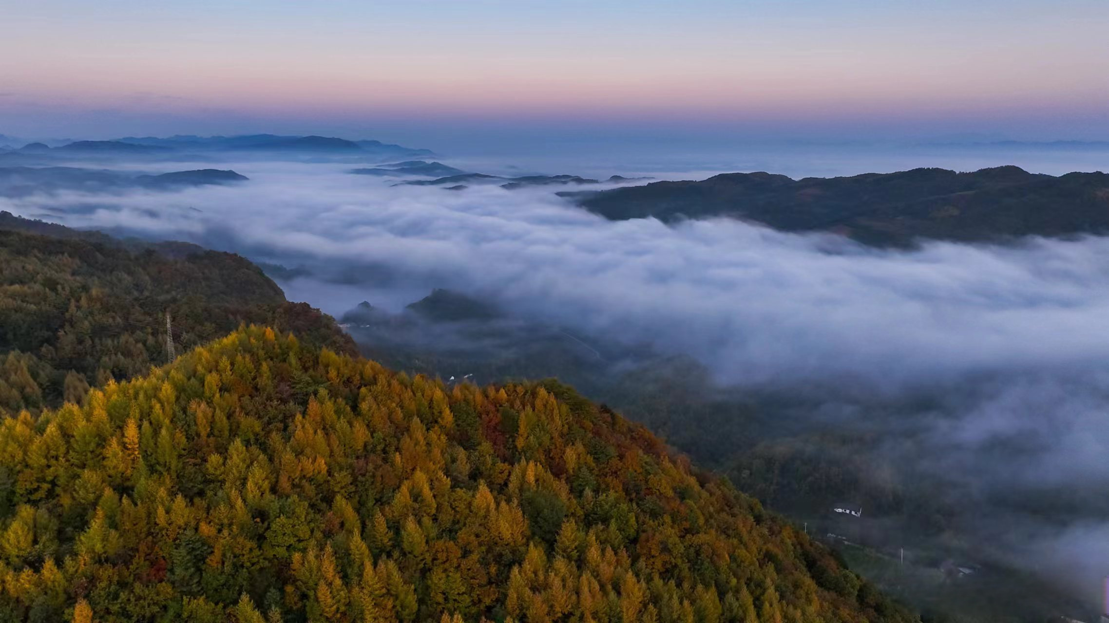 #陇南快讯# 金秋时节,徽县青泥岭频现壮美的云海景观,茫茫云海翻涌在