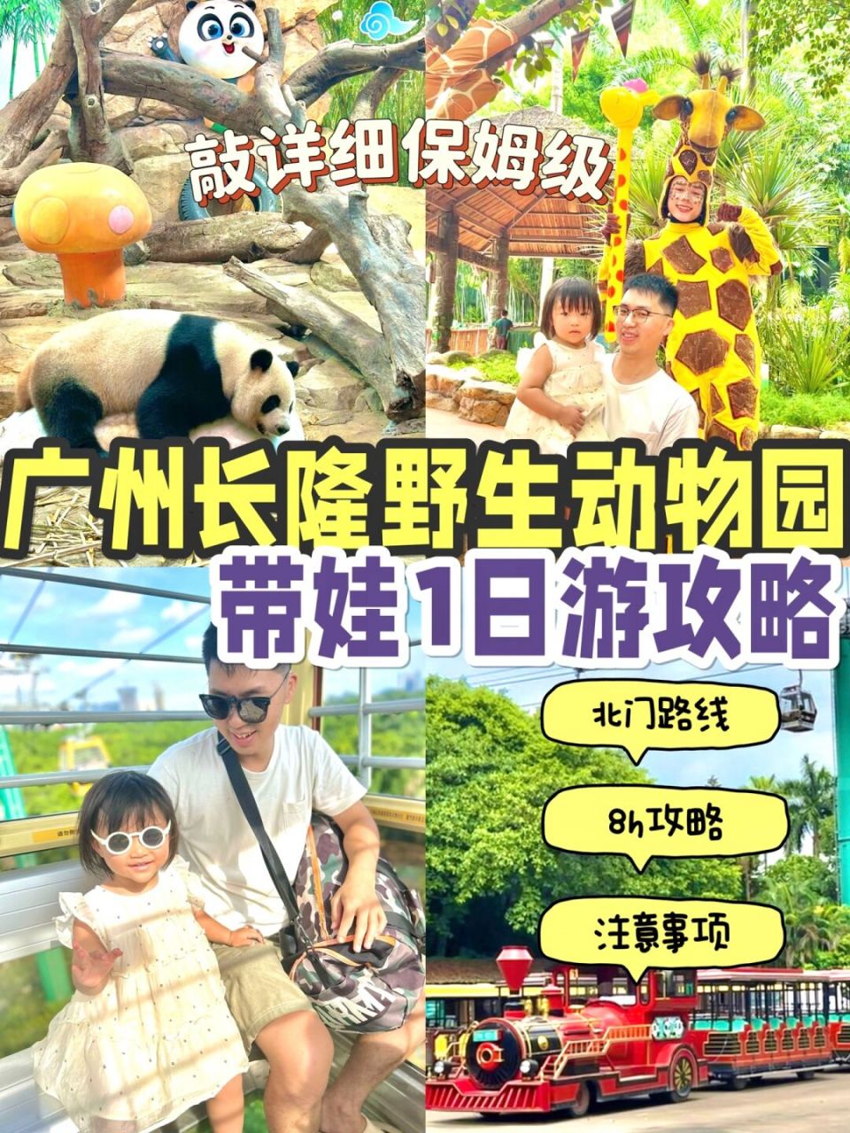 广州长隆野生动物园978h亲子游保姆级攻略73 娃2岁生日,带娃去
