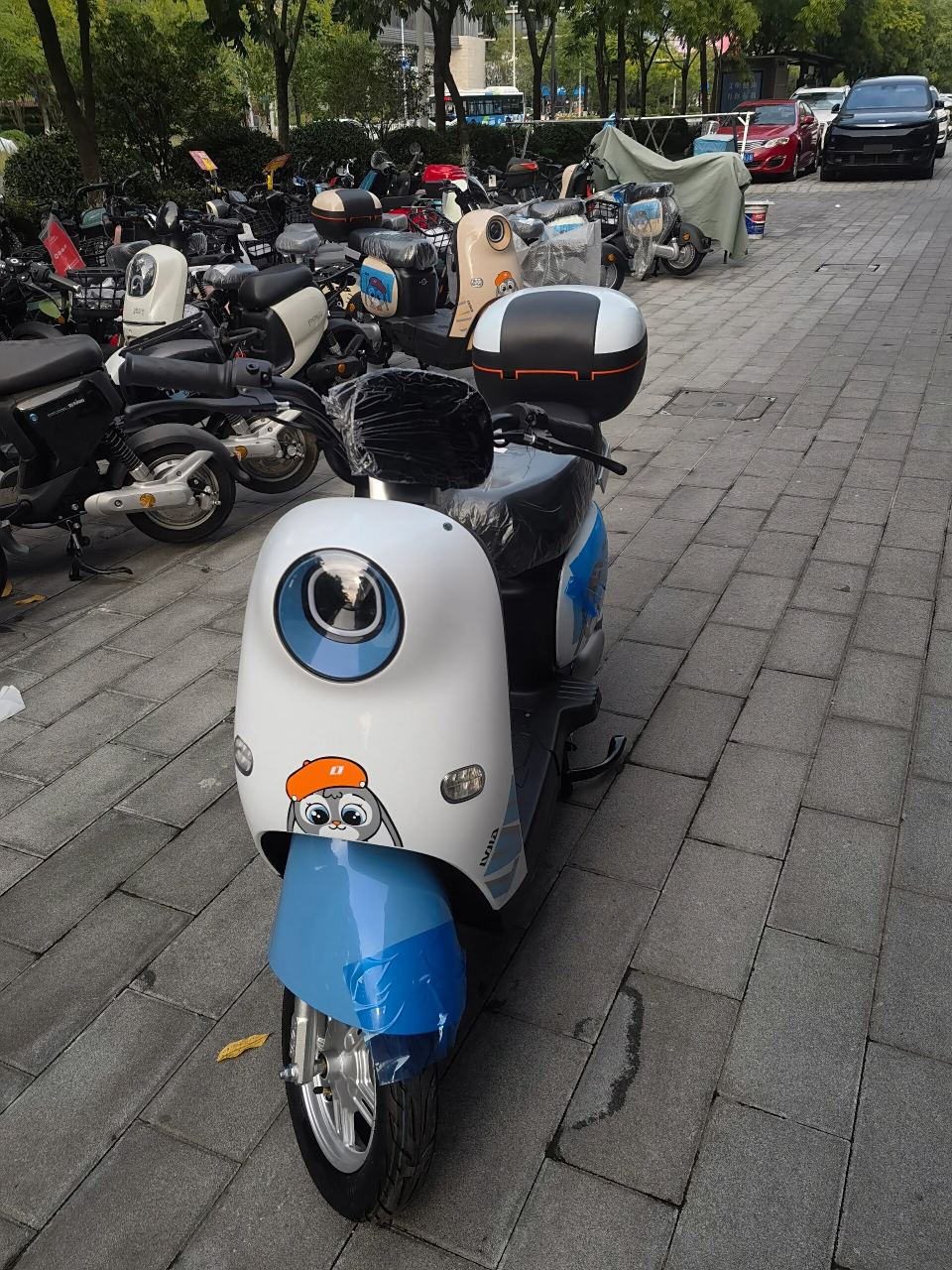 绿佳电动车长续航国标电动车 配48v20安大电池.