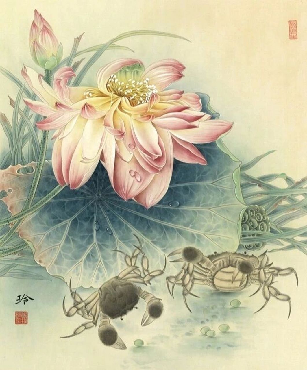 工笔画步骤分享荷花《和谐图》 纸本设色  尺寸:37x44.