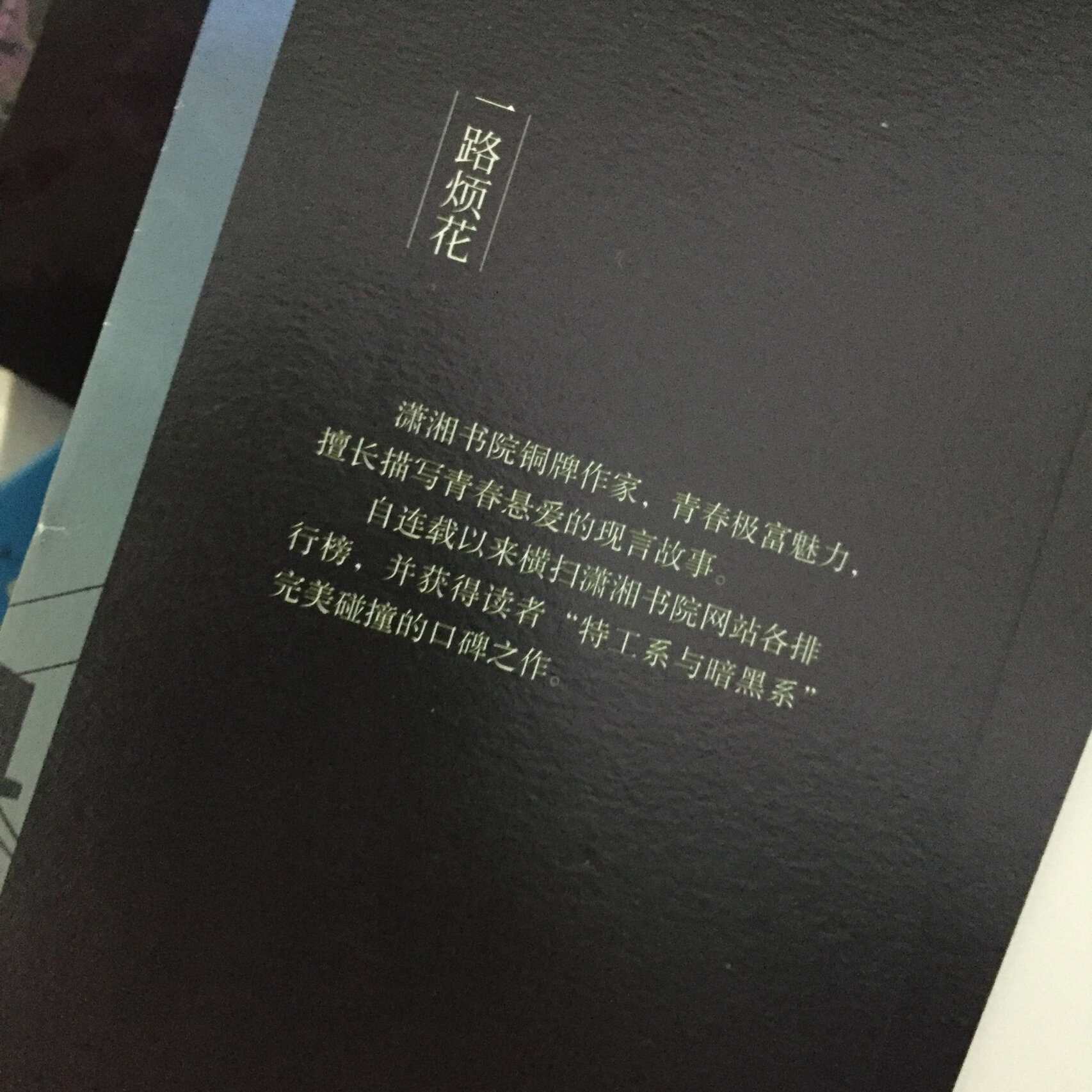 言情小说实体推荐(马甲文) 书名:《名门天后之重生国