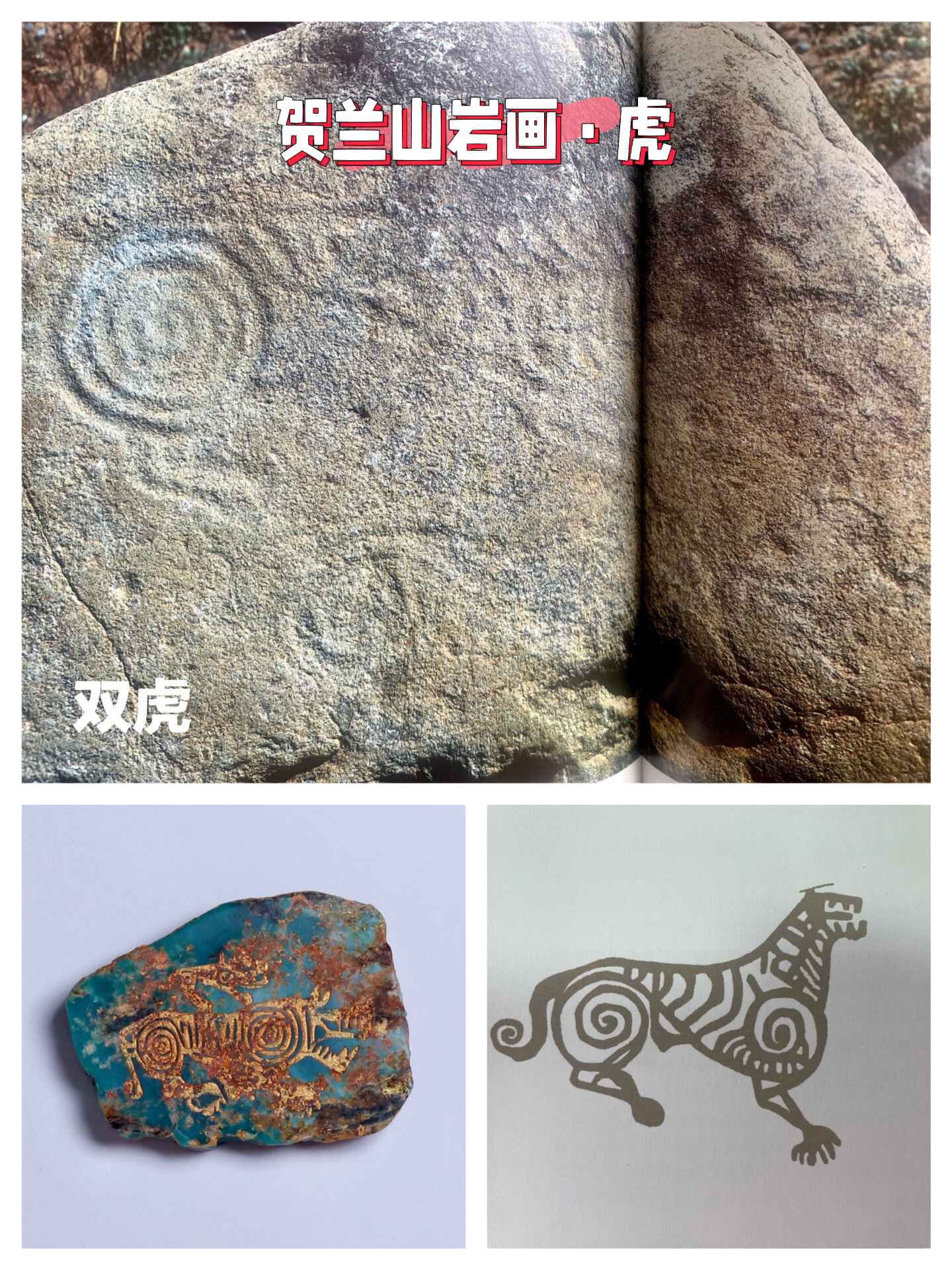 96我们来说说贺兰山岩画——虎图腾