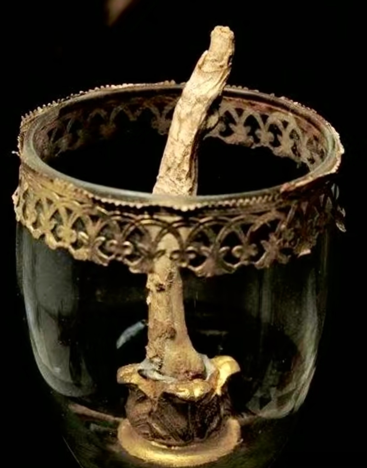 伽利略的中指 佛罗伦萨科学史博物馆藏