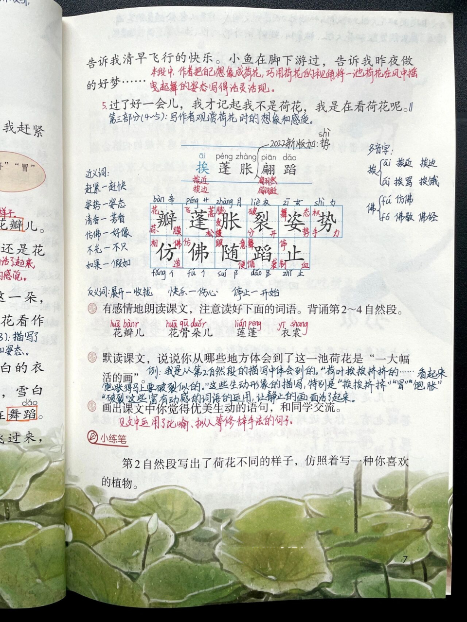 三下|三年级下册第3课《荷花》超详细课文 94学习目标 1.