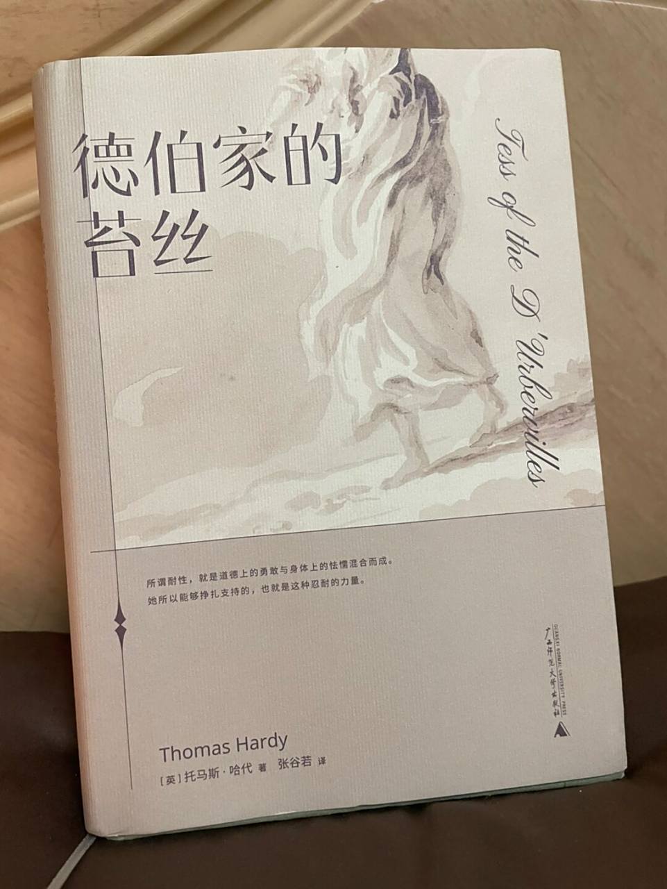 《德伯家的苔丝》 	 最可恨的是,恨来恨去,最后不知要恨谁了.