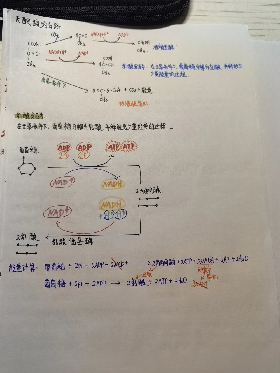 丙酮酸的三个去路:乳酸发酵,乙醇发酵,柠檬酸(三羧酸循环) 2.