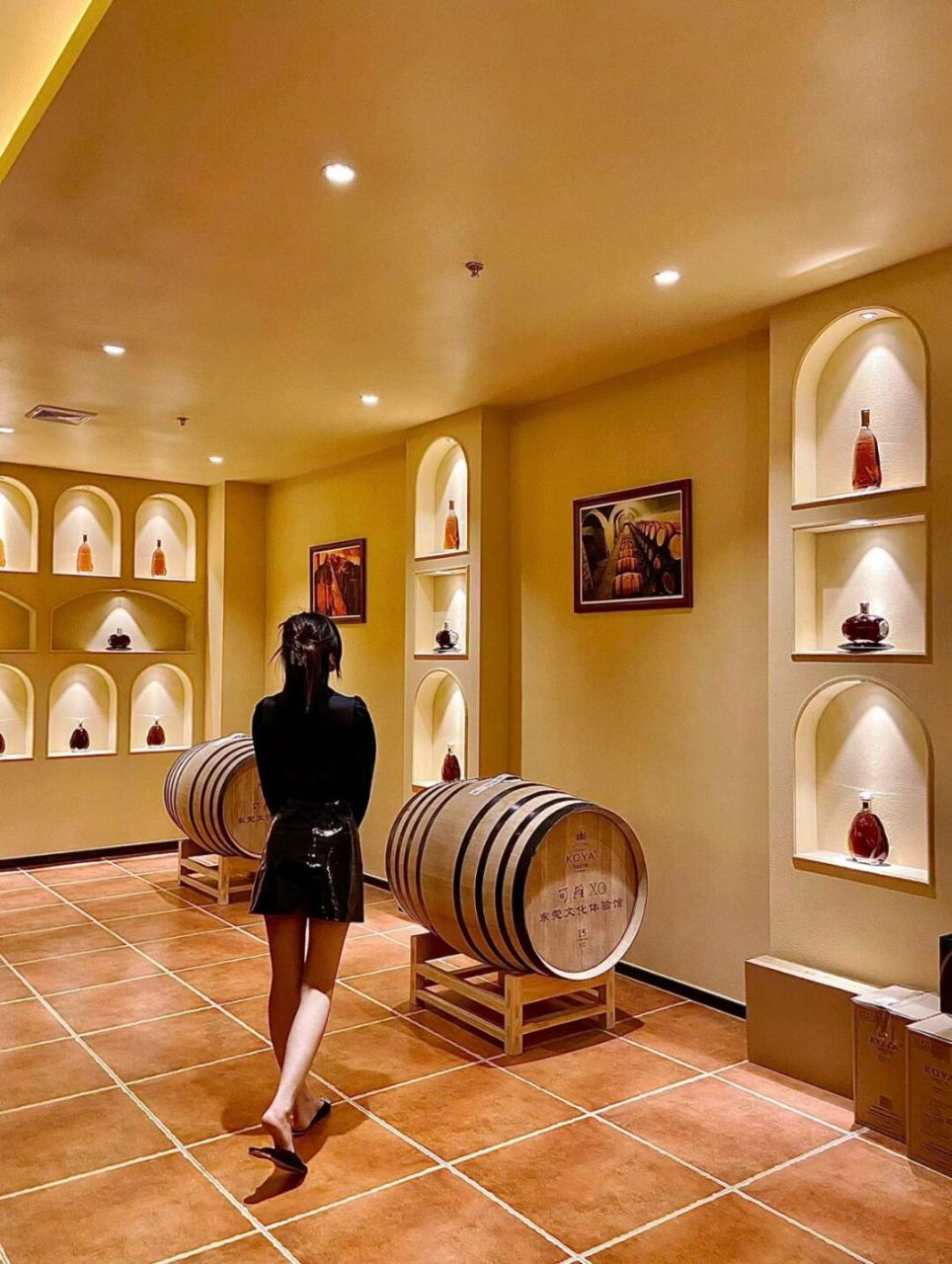 东莞独栋酒庄体验馆|法国电影里面喝一杯 93免费参观哦～ 97 隐藏