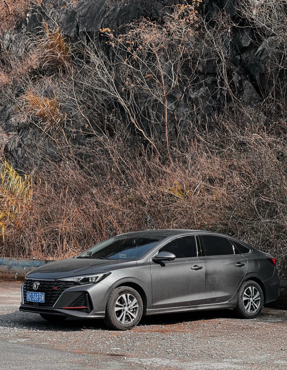 05 我的安安安第斯灰真的太显脏了,明明好好看的照片却没时间洗车车