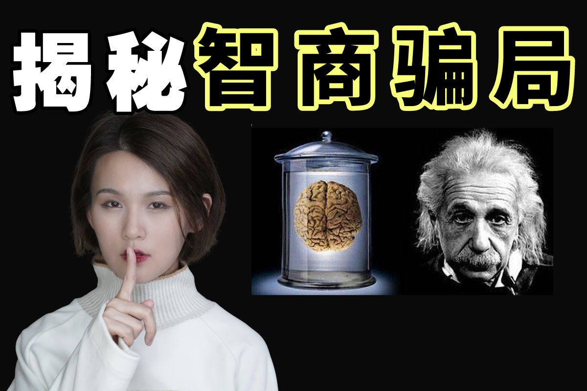 网上的韦氏智商测试是否正规科学