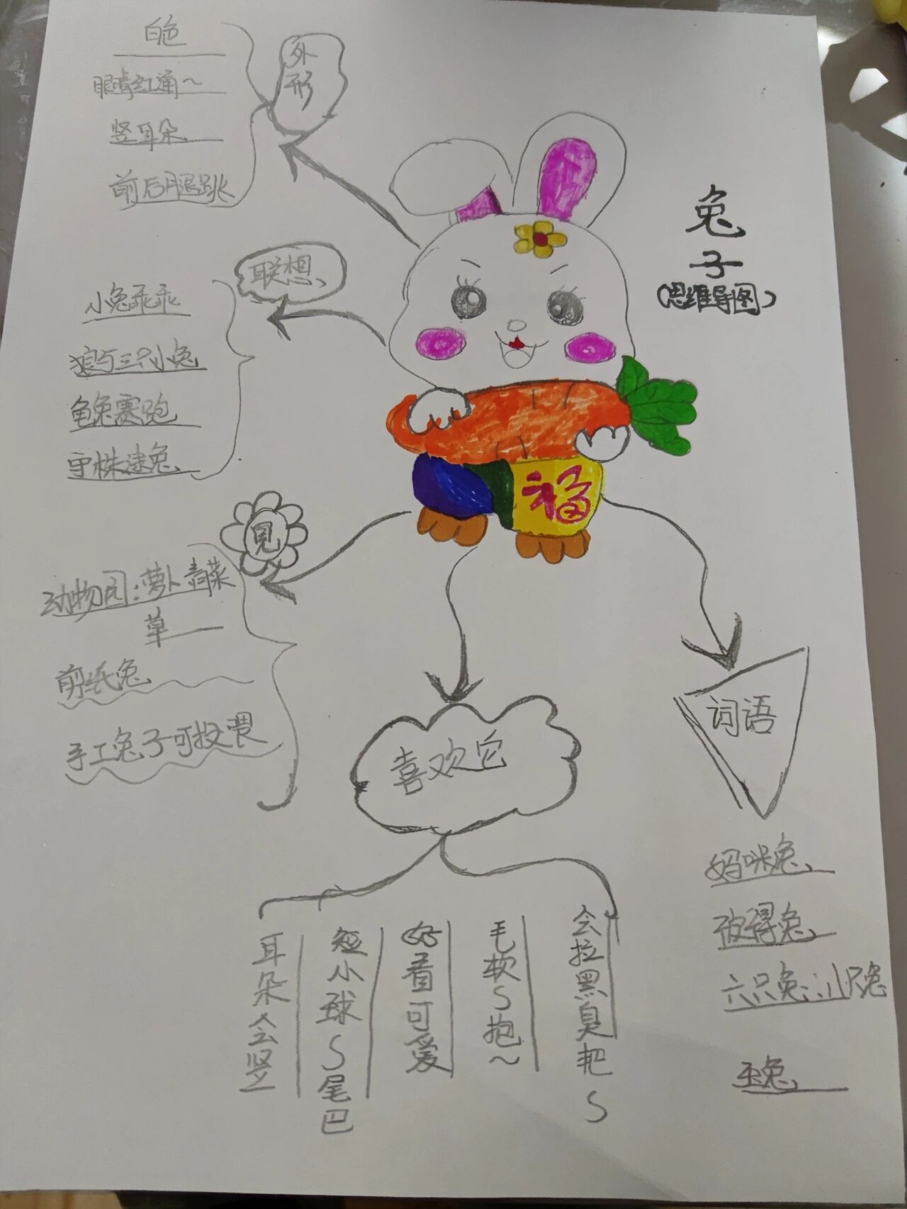 兔子🐰思维导图