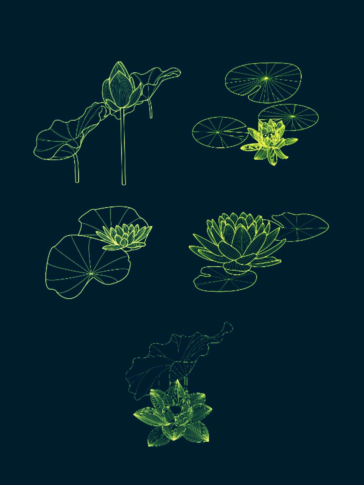 超美简约线条荷花荷叶