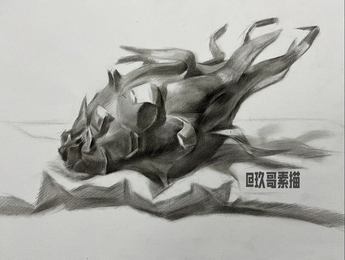 素描单体之火龙果