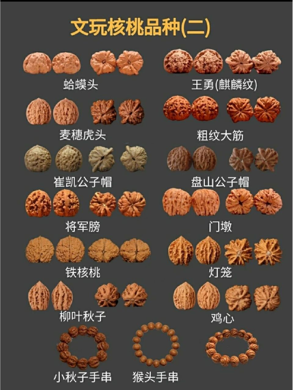 核桃的品种汇总 文玩核桃介绍