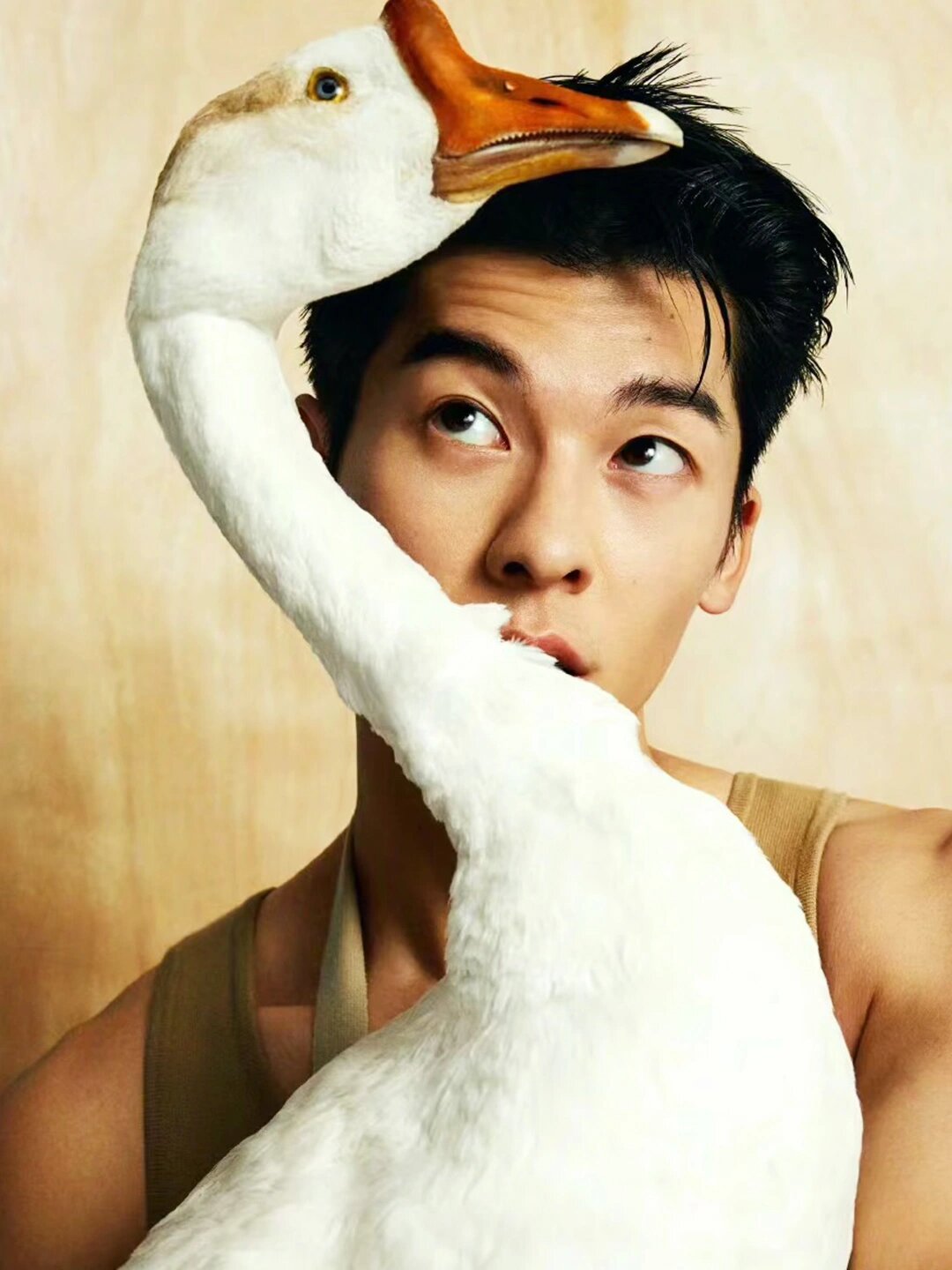 许光汉|高清壁纸99阳光开朗大男孩