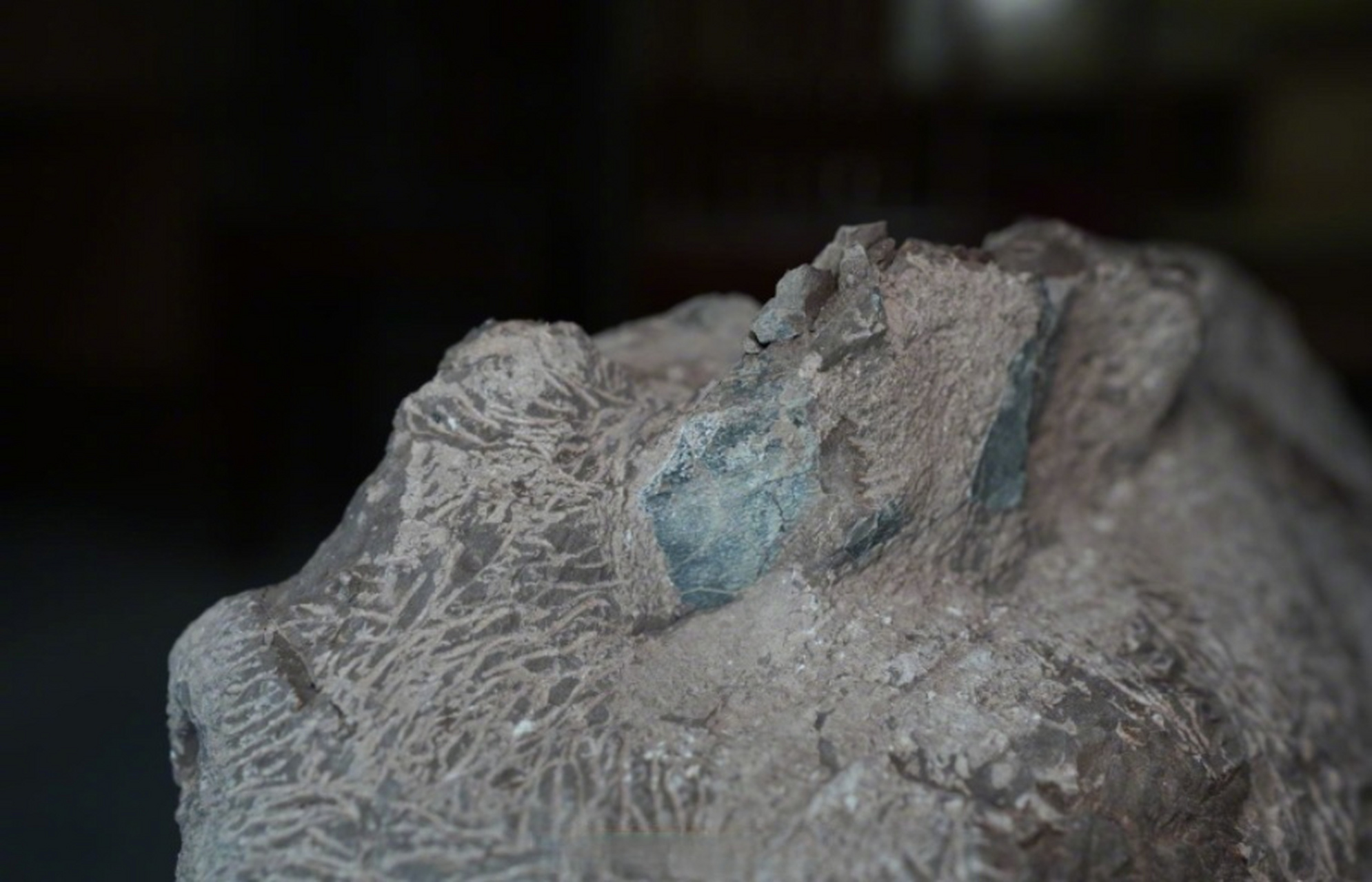 【#福建上杭首次发现6枚恐龙蛋#】记者18日从上杭县自然资源局获悉