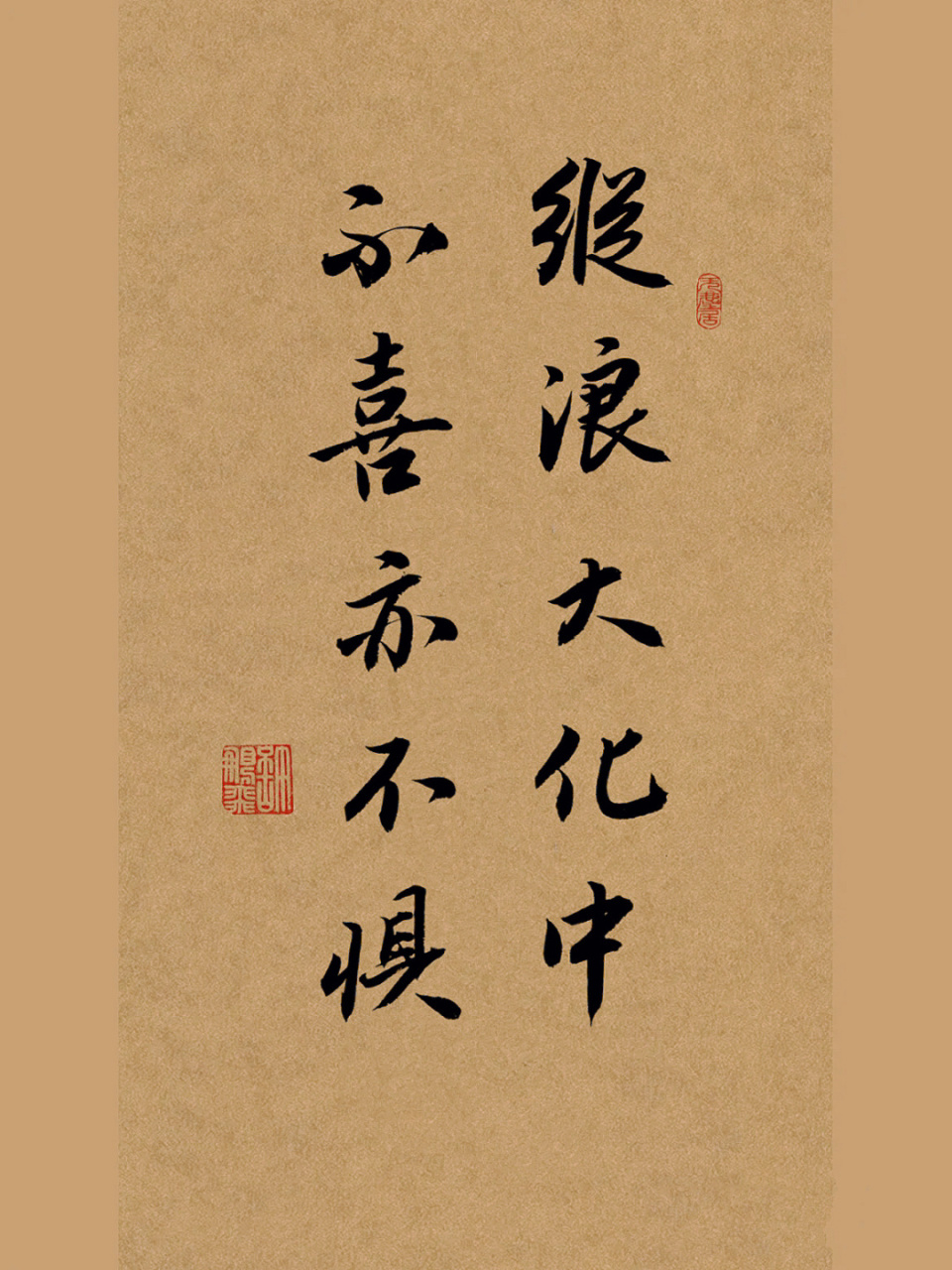 毛筆書法作品|原創手寫行書|練字打卡|文案 縱浪大化中,不喜亦不懼.