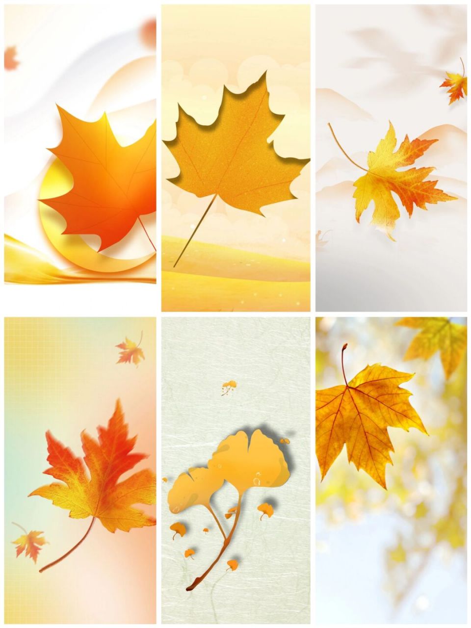 93立秋‖唯美枫叶海报背景图素材 93一叶梧桐一报秋, 93稻花田