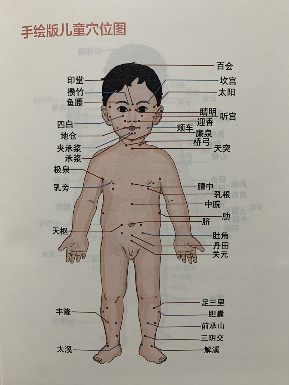 手绘版儿童穴位图