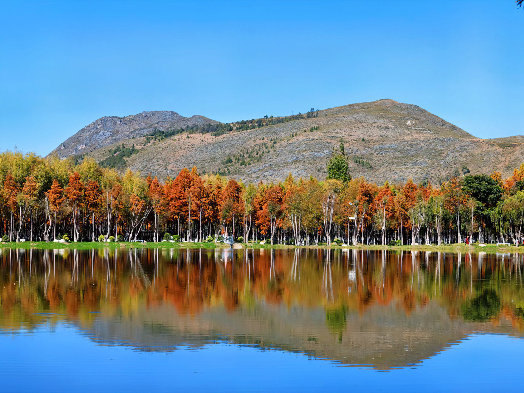 无违旅行 回答了问题: 大理洱源县有哪些景色宜人的景点?