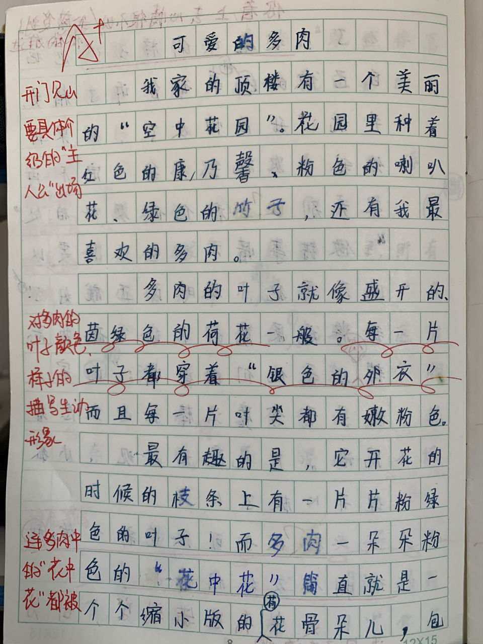 三年级作文—可爱的多肉 三年级作文—可爱的多肉
