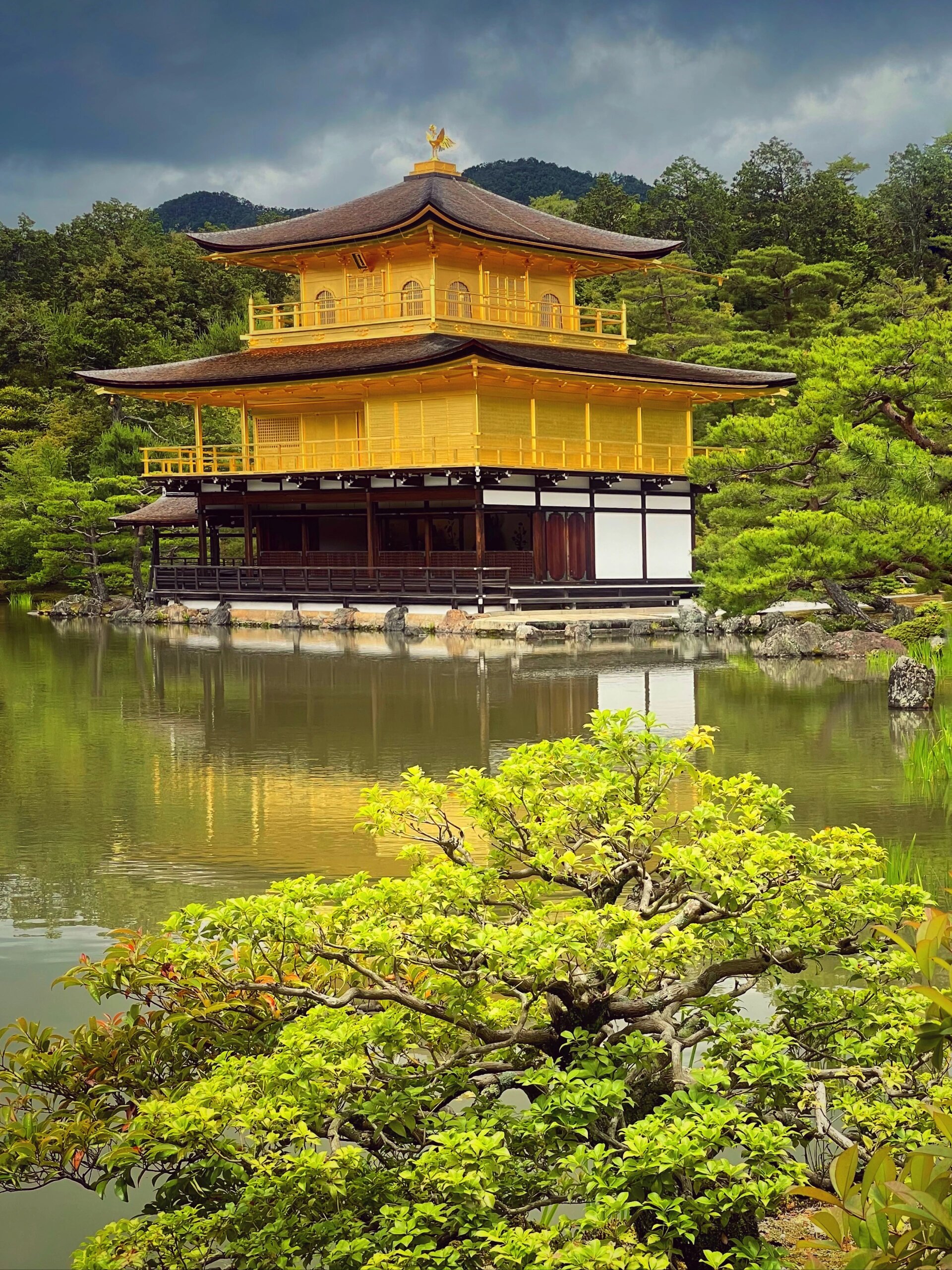 一休哥的金阁寺