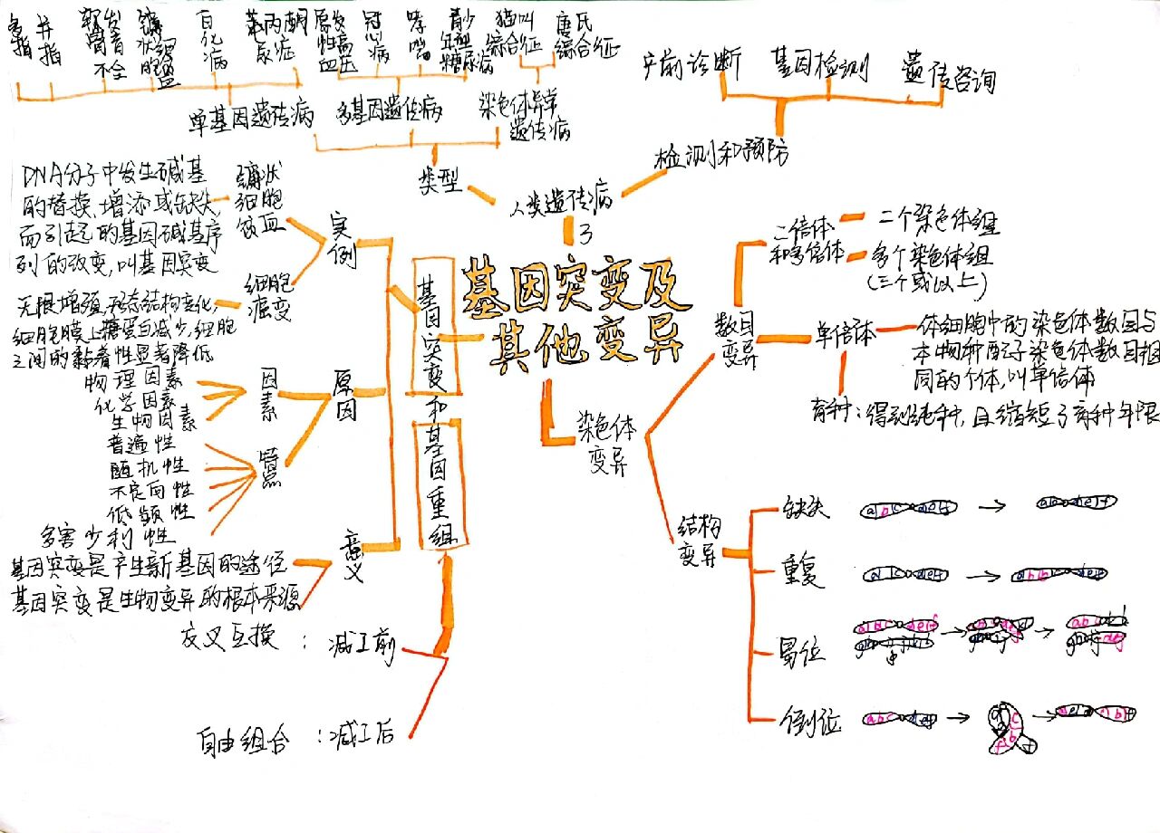 人教版高一生物必修二思维导图第五章