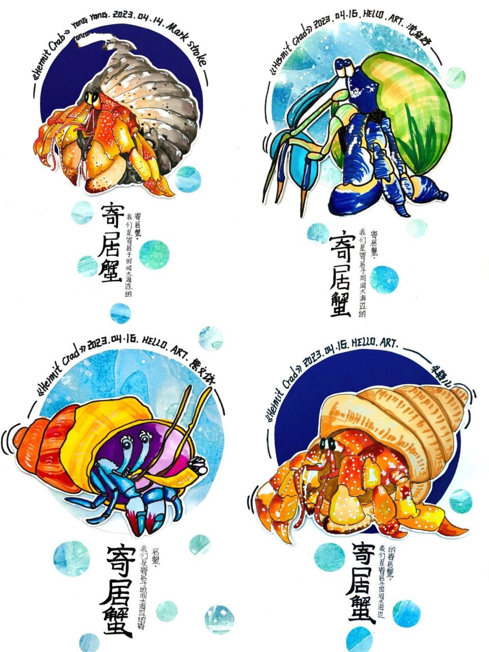 创意美术61《寄居蟹》0215 021502150215 我们是