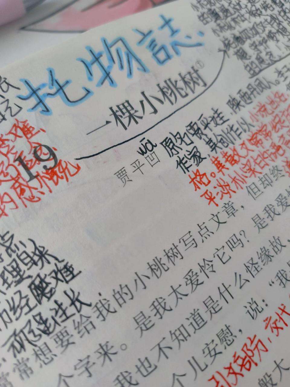 一棵小桃树笔记 99一棵小桃树笔记 99七下语文笔记 99欢迎指点