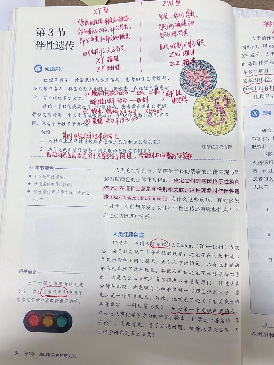 生物课本笔记:必修二伴性遗传 人教版生物,高中生物必修二第二章第三