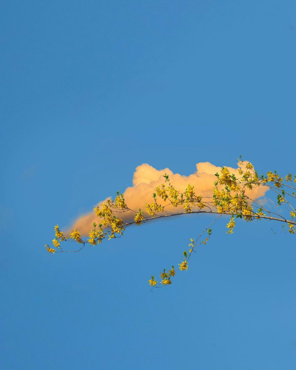 天空☁️云朵 头像/背景图分享 万尺高空蓝天白云是我的生活, 和