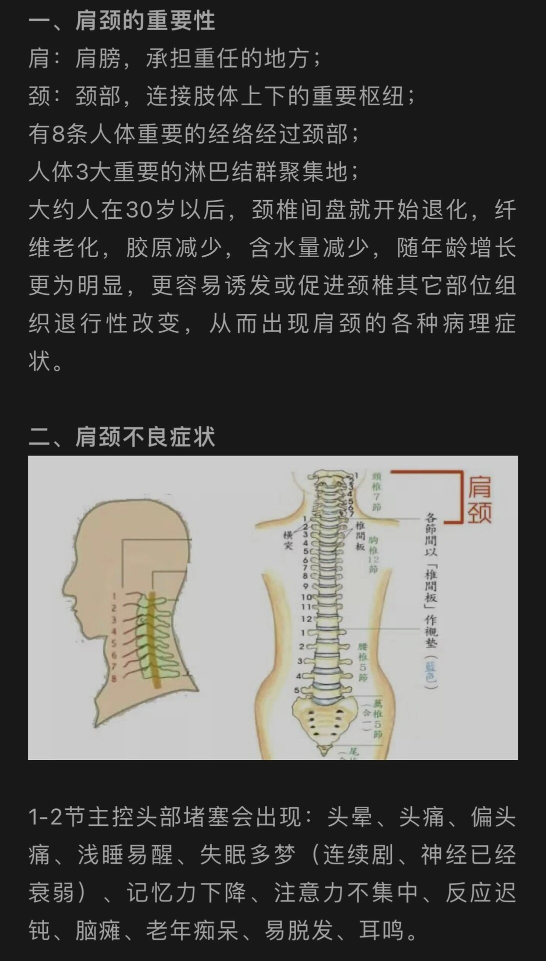 肩颈的专业知识笔记 肩肩膀,承担重任的地方;颈:颈部,连接肢体上下的