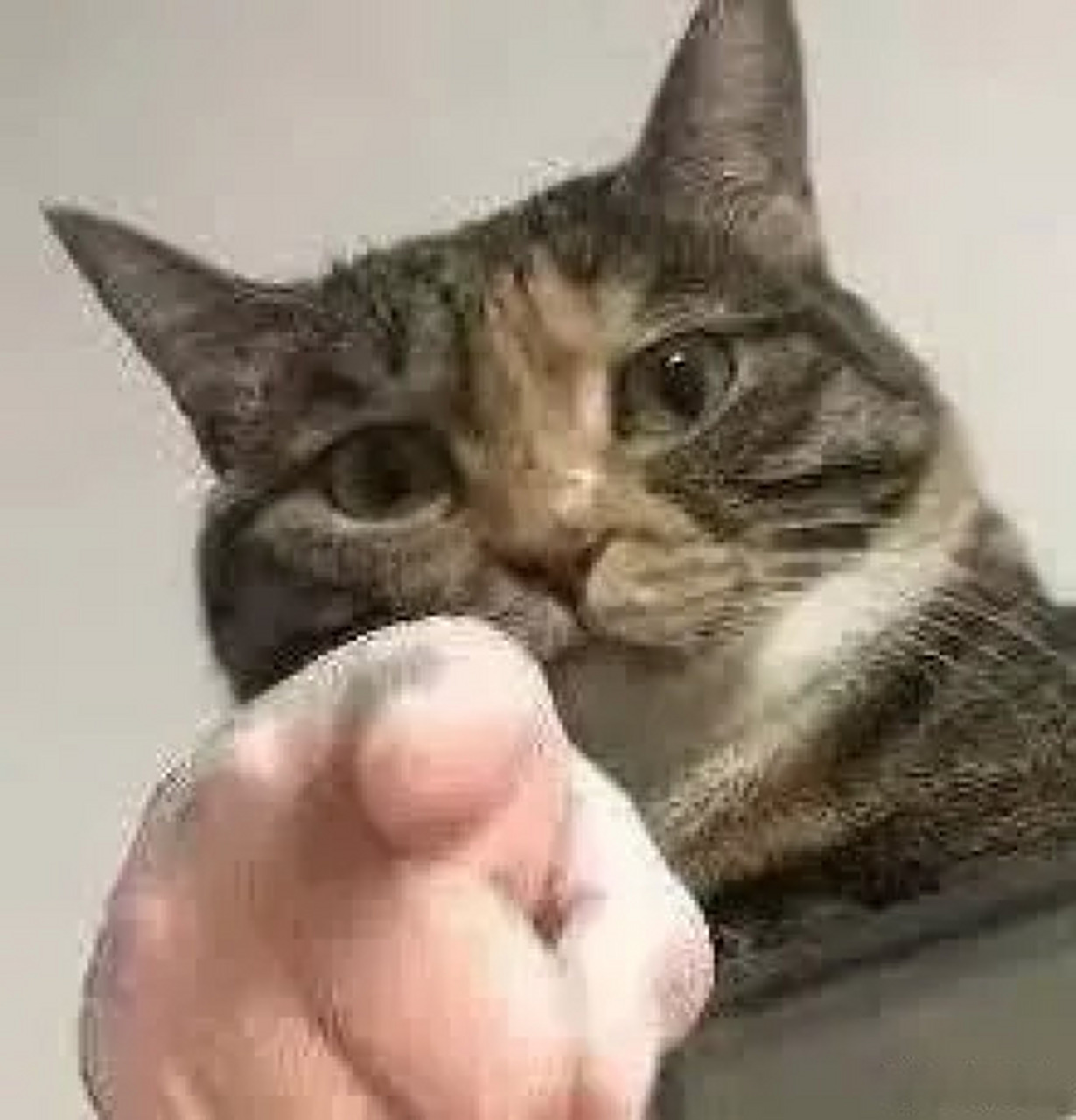 世界卫生组织曾在2008年指出,全球15岁及以上成年人