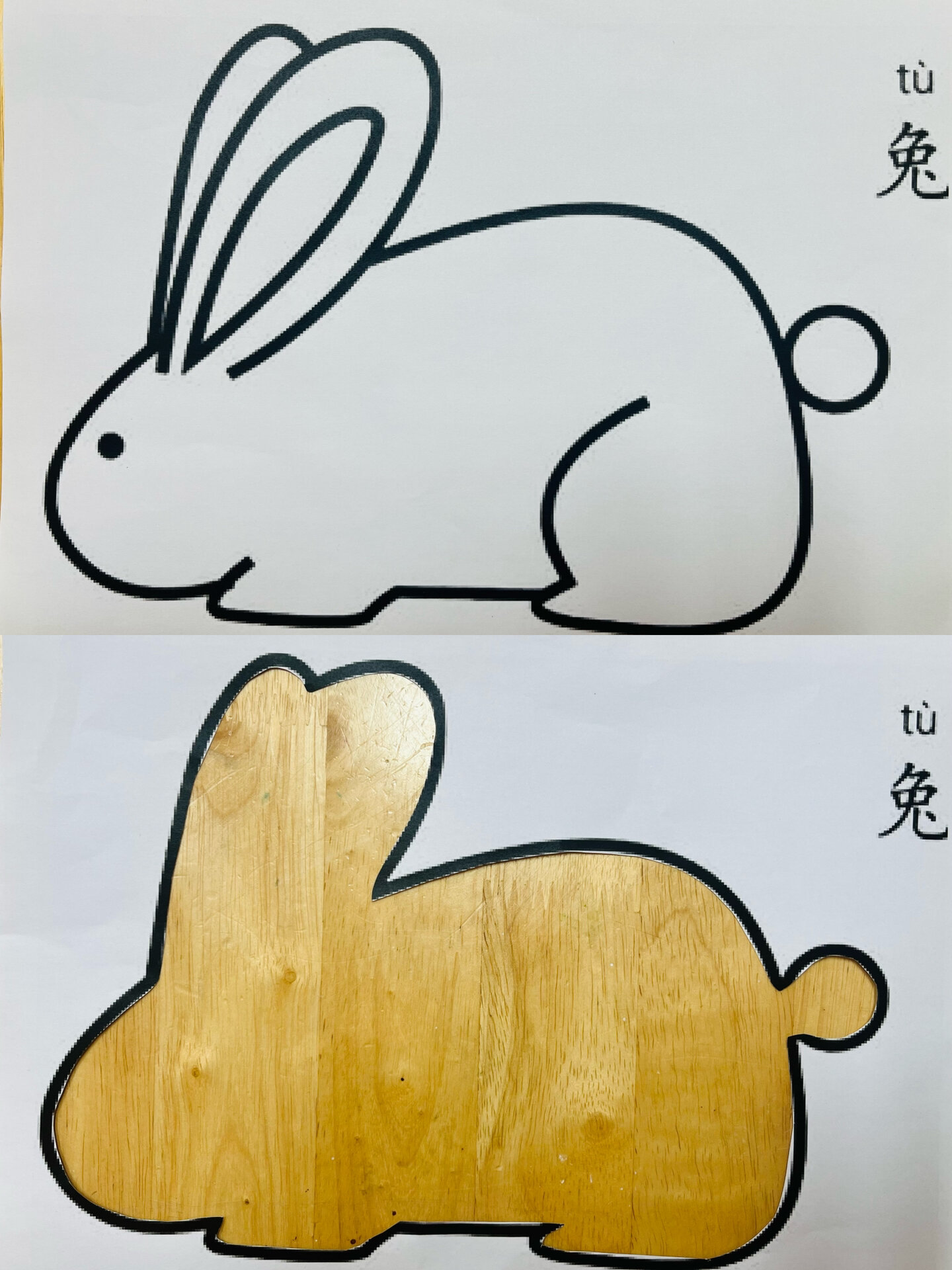 准备两张相同的兔子图片,一张上面铺满碎纸片,一张用剪刀剪成镂空的