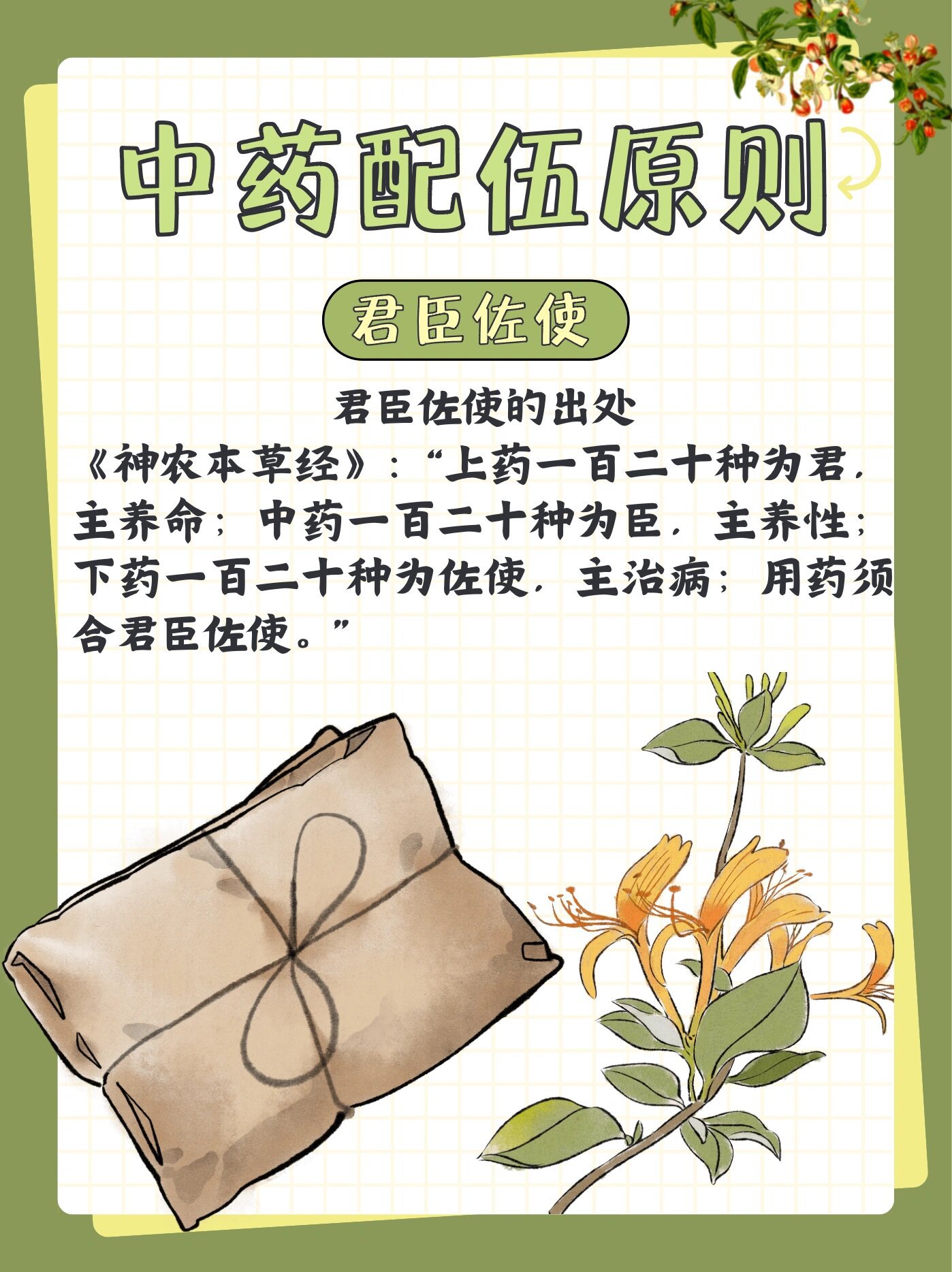 中医科普|92中药配伍原则——君臣佐使036993 什么是君臣佐使