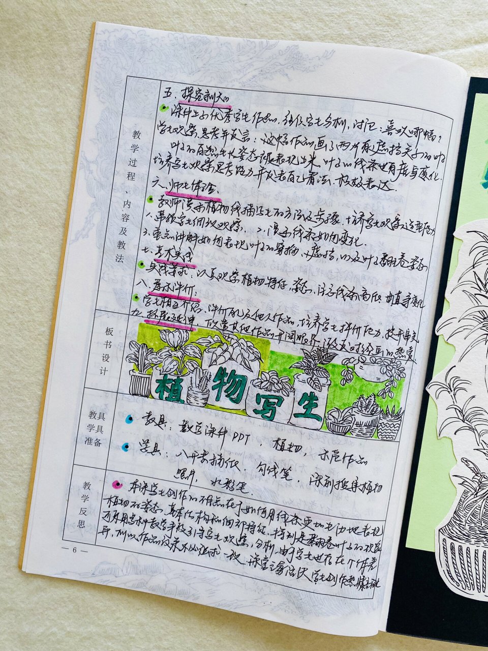 【植物写生】人美版小学美术教案969696 7515 97教学目标