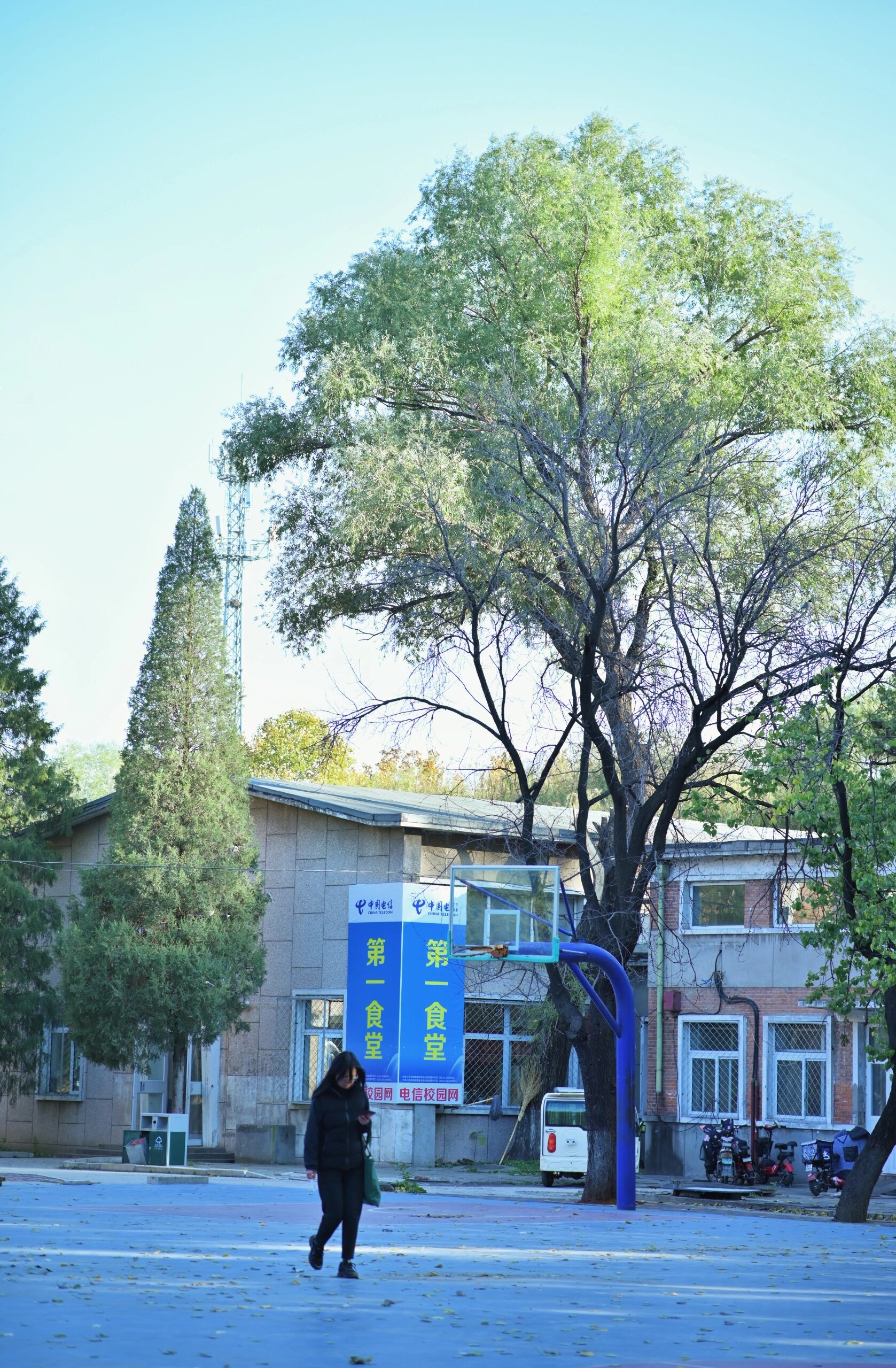廊坊师范学院固安校区一角