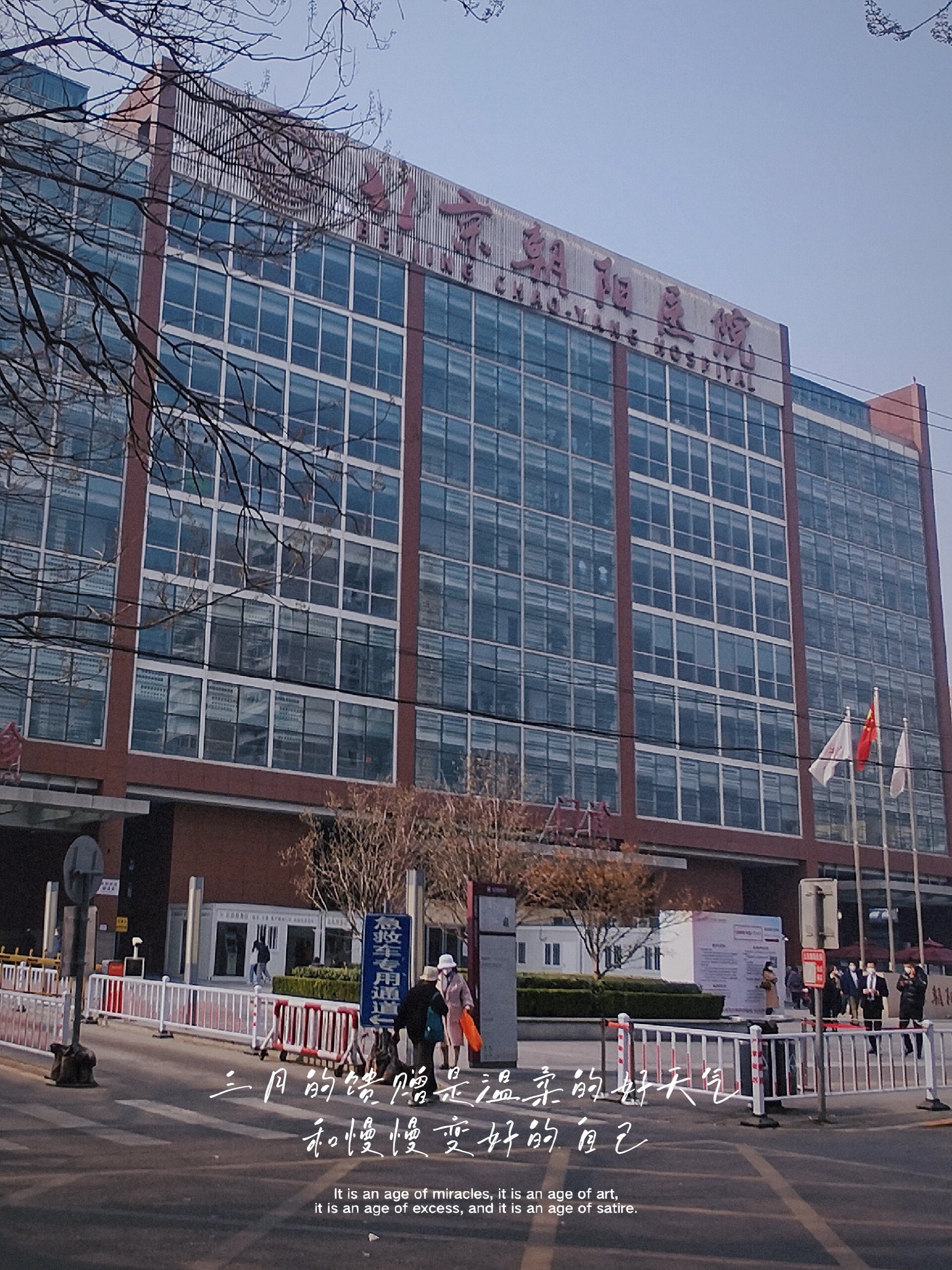 朝阳医院住院办理陪诊挂号康复训练专业指导，恢复效果更佳的简单介绍