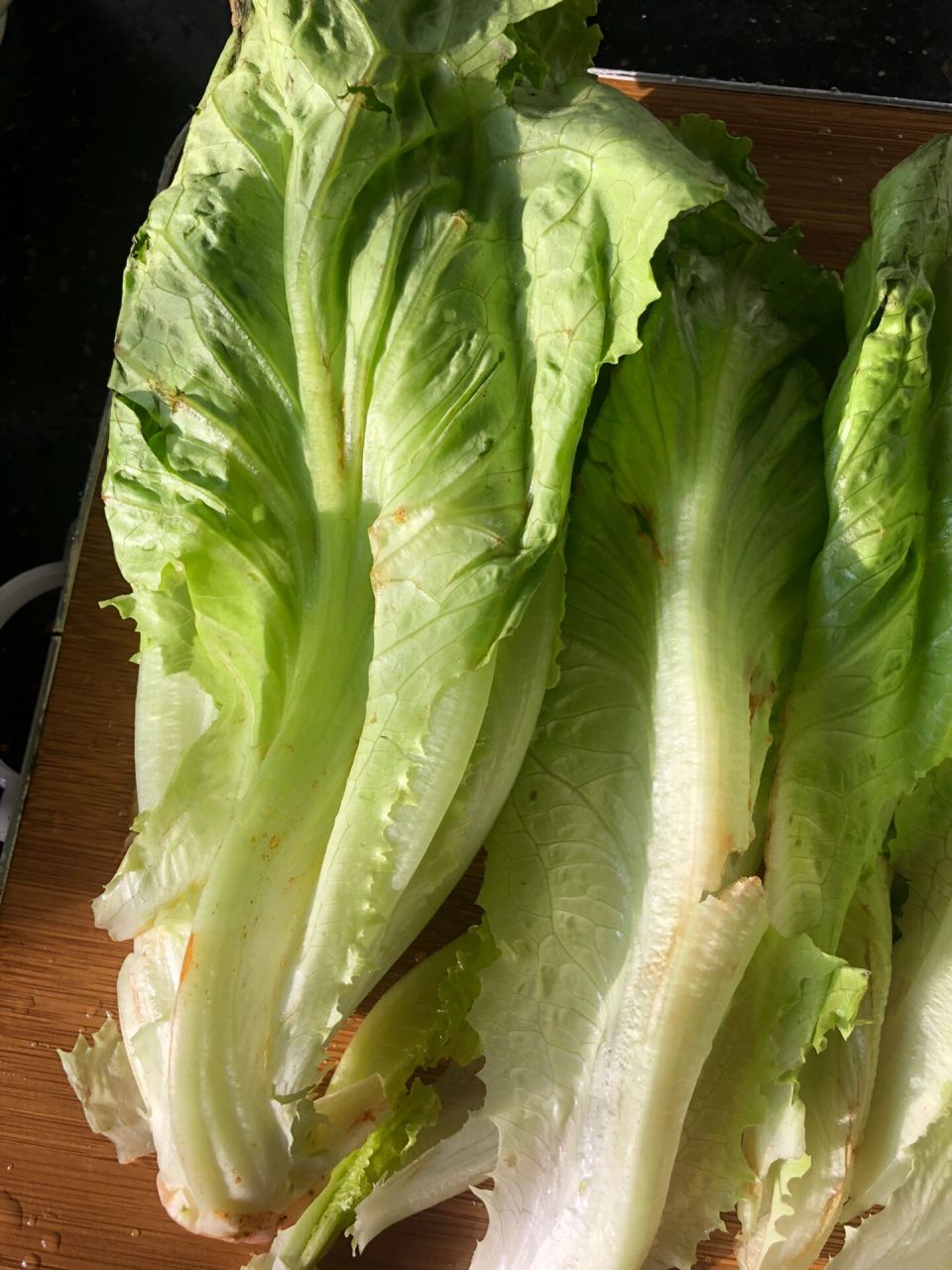 这是老公今天刚在超市买的生菜,专挑烂的?
