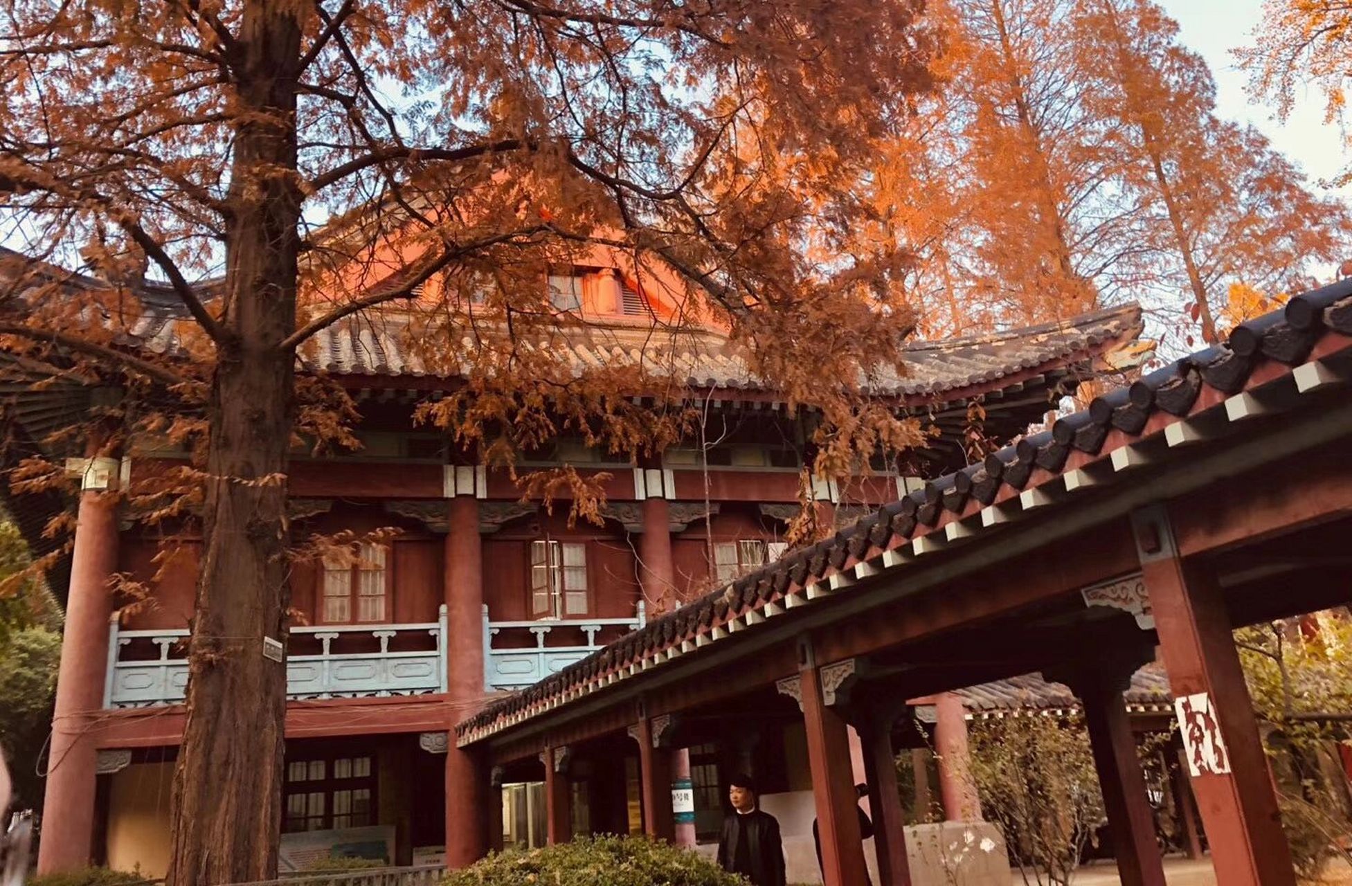 最美大学校园风景排名图片