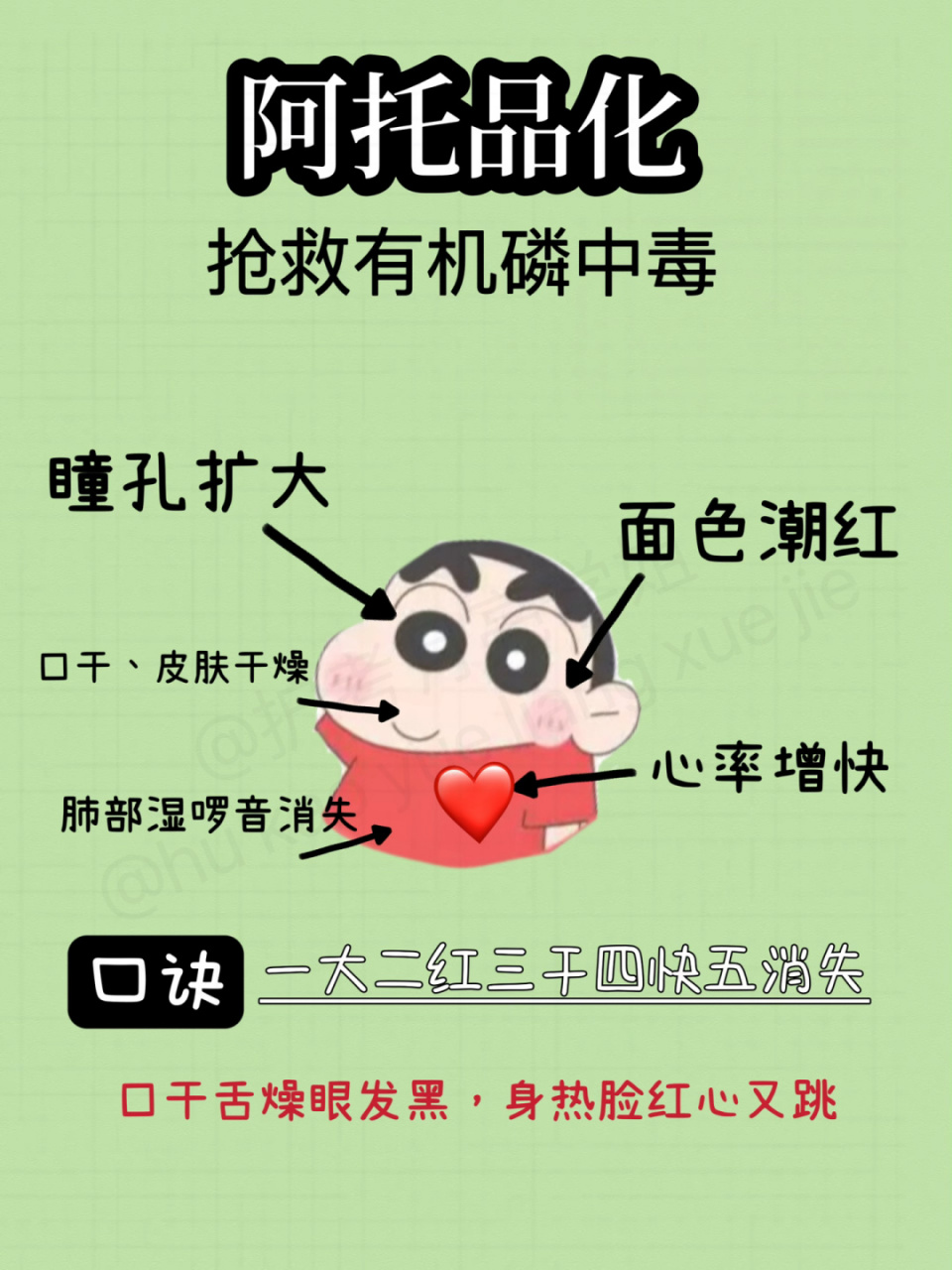 护考口诀阿托品化表现总结 7815 月亮不睡我不睡 有机磷中毒抢救