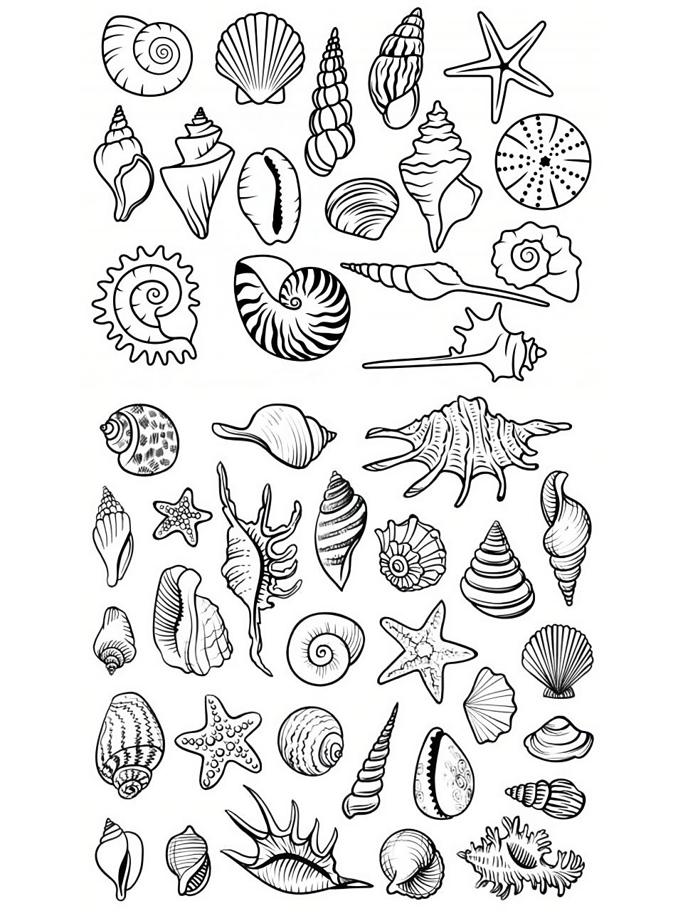 这么齐全的海螺贝壳简笔画素材一定要收藏 海螺和贝壳,是大海留下的