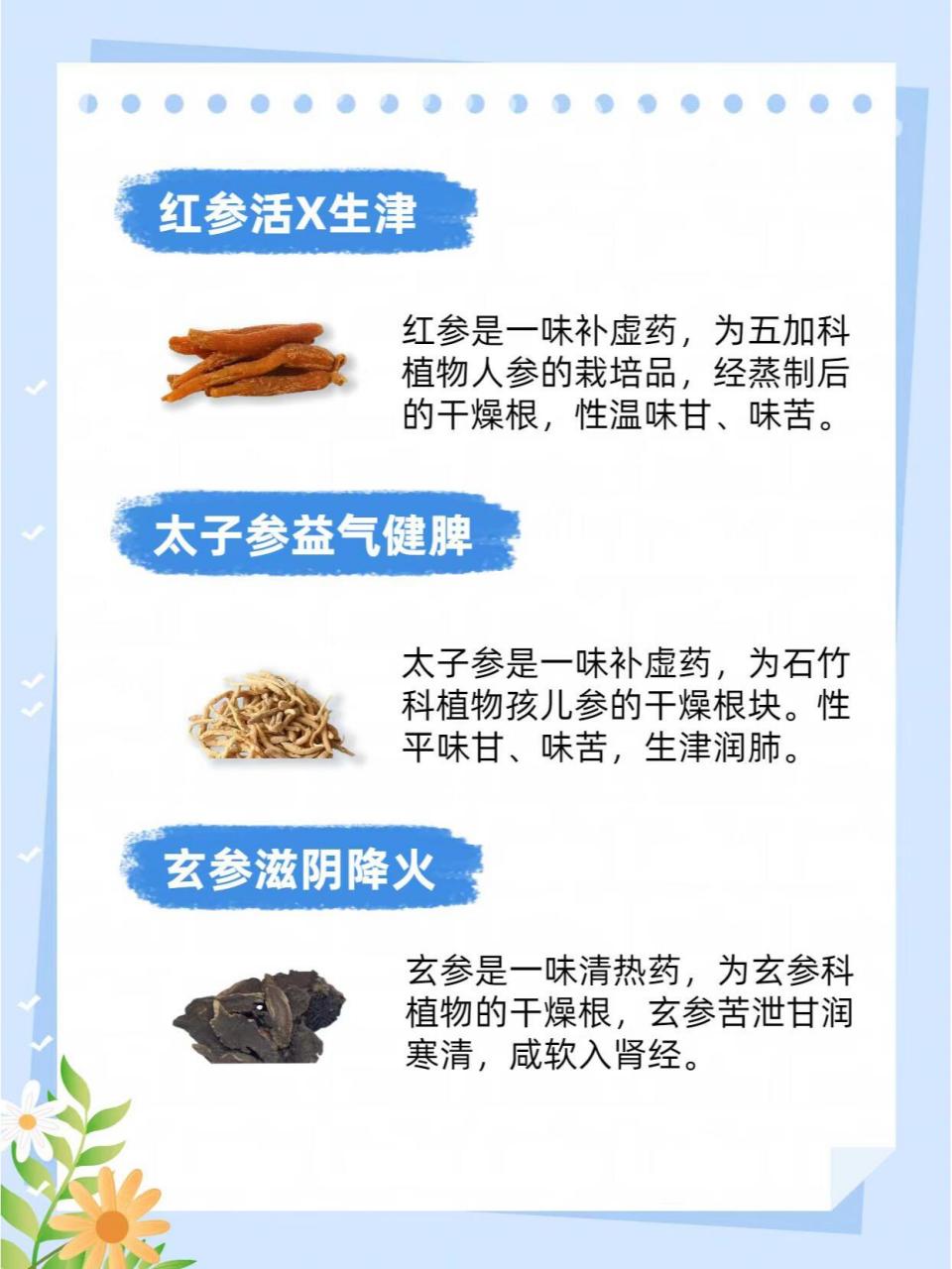 人参藜芦同用图片