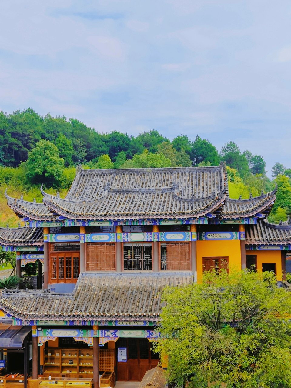 铁山坪森林公园徒步路线分享!快来看!  	 话不多说,我们直接上路线!