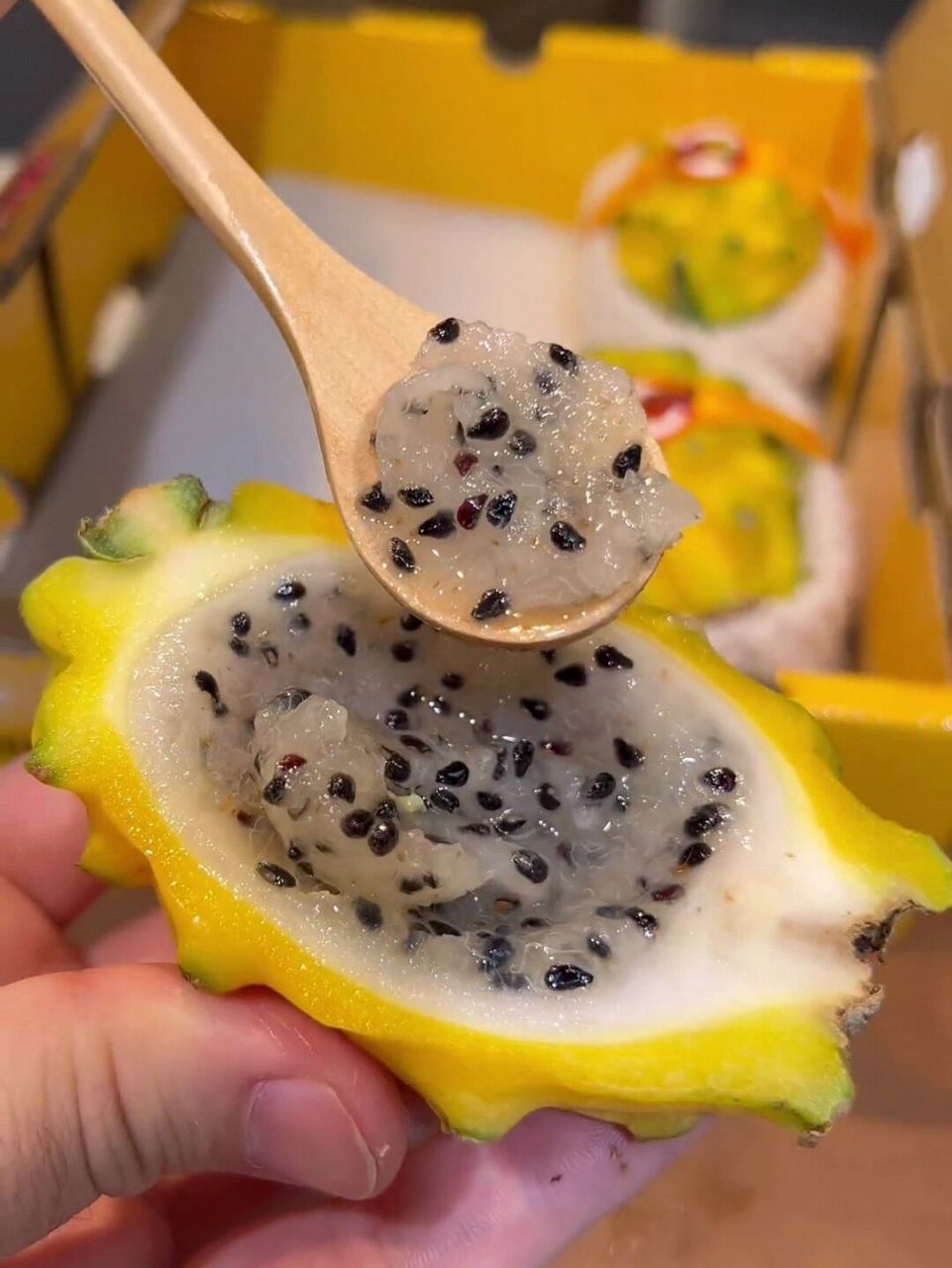 水果中的爱马仕——哥伦比亚燕窝果 7815燕窝果又叫麒麟果 78