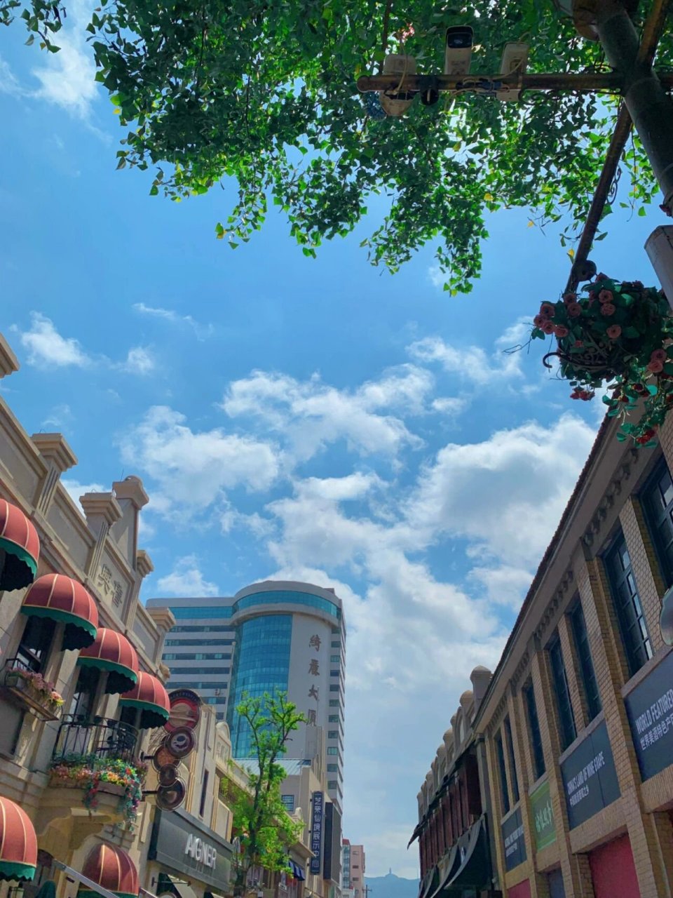 烟台拍照打卡好去处-芝罘区朝阳街 烟台芝罘区朝阳步行街 好吃,好玩