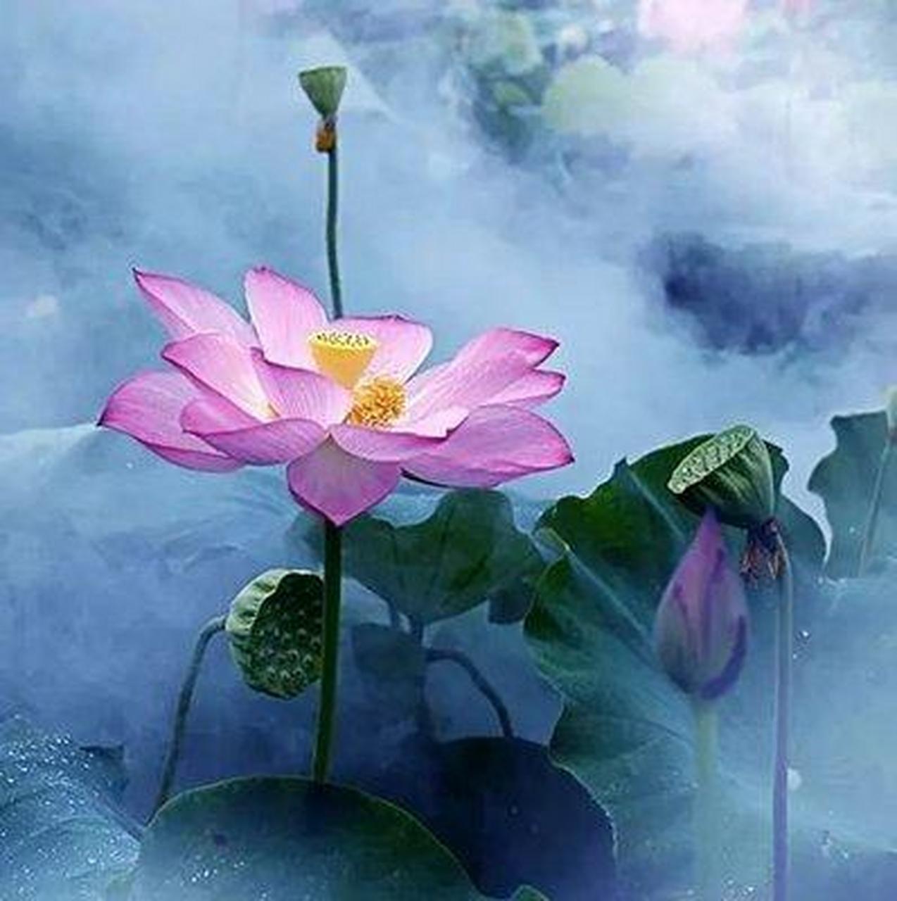 目前佛教有八大宗 天台宗 :中国佛教宗派.