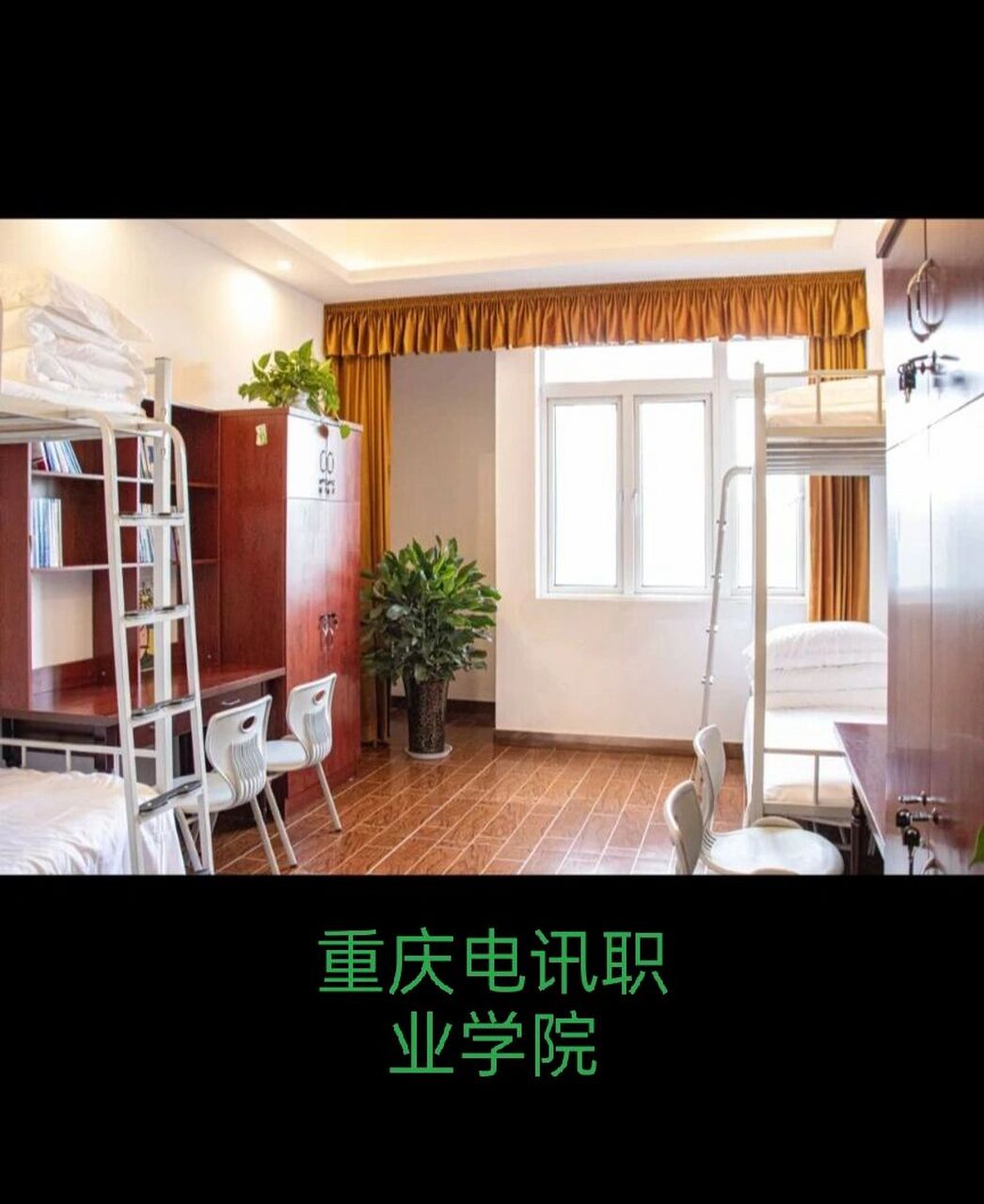 重庆电讯职业学院新生咨询