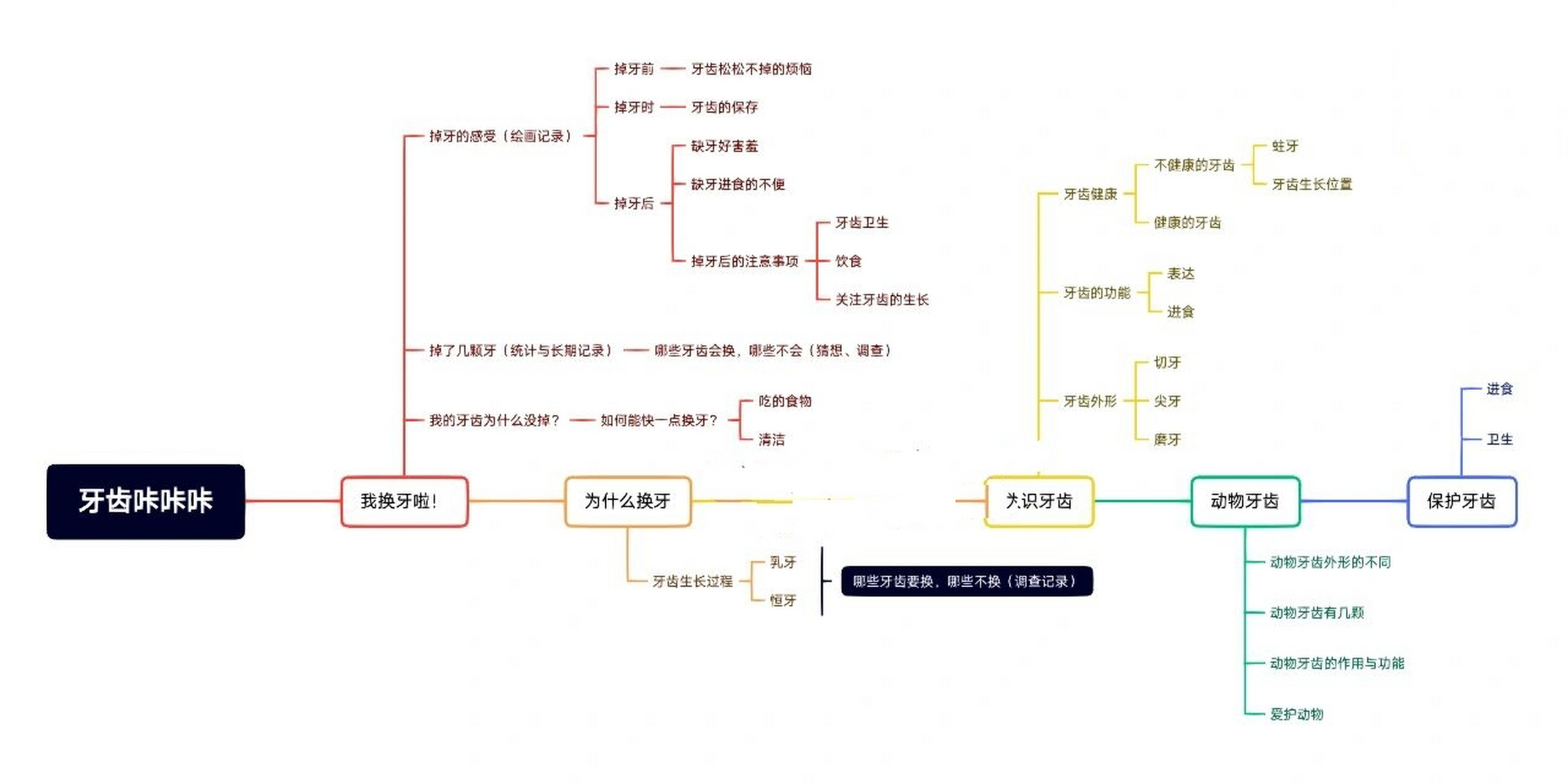 牙齿主题活动网络图图片