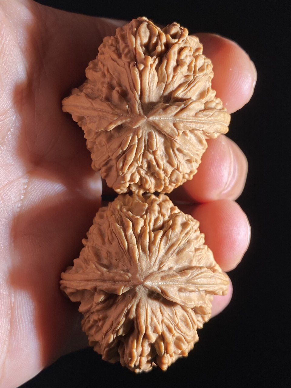 不知道还有没有人记得黄杆老款狮子头 黄黄皮壳,超硬,硬度排我核桃里