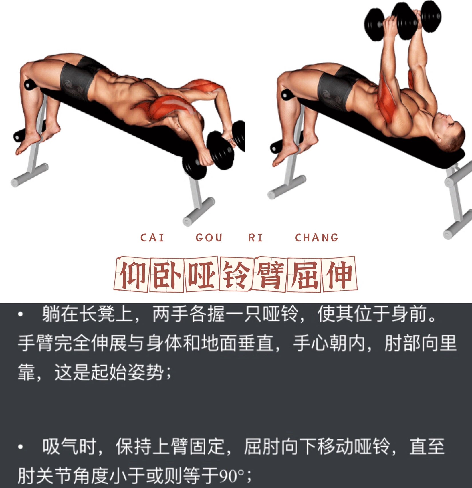 跟练版居家健身系列-哑铃自重手臂训练